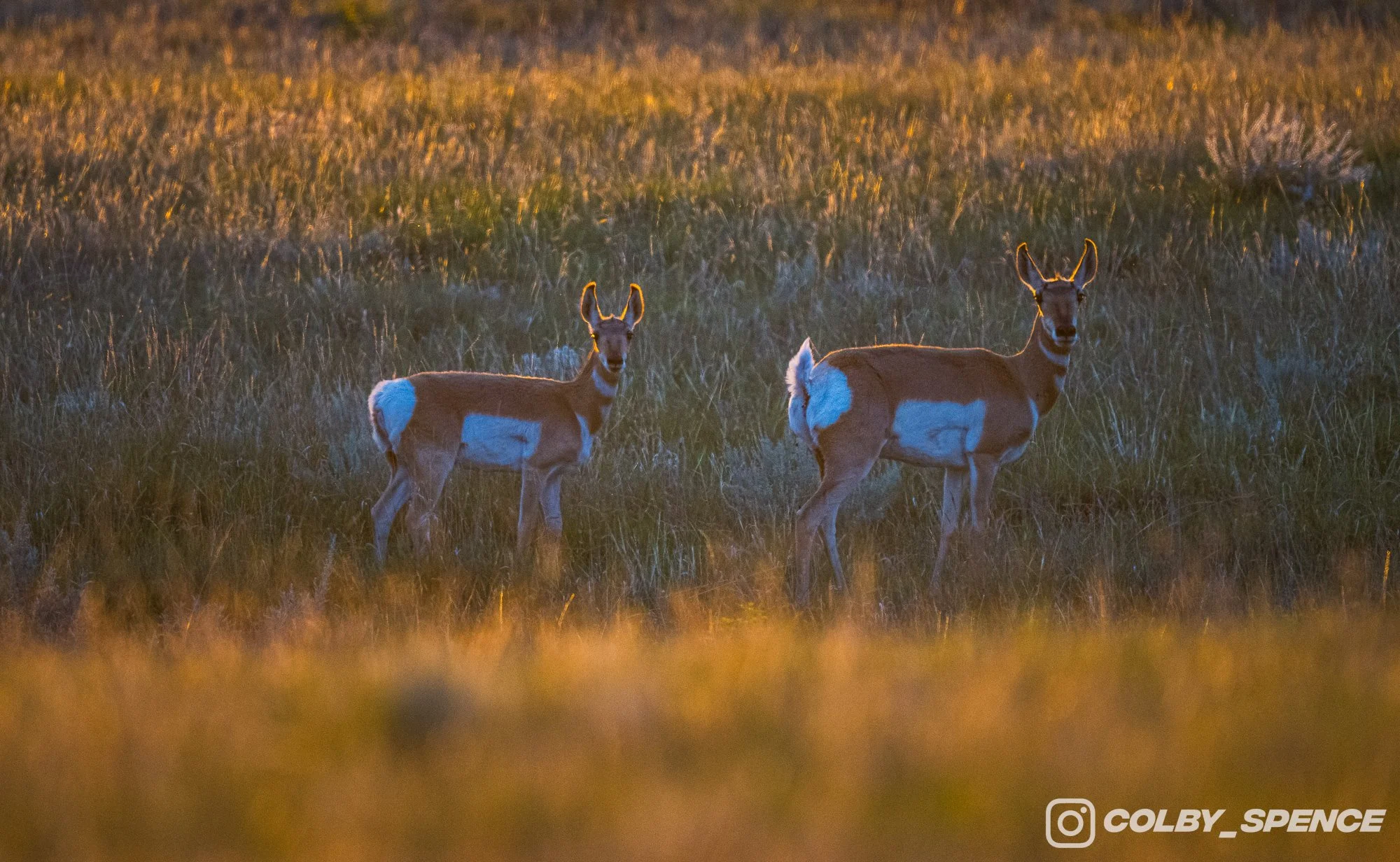 LLTD-24.jpg