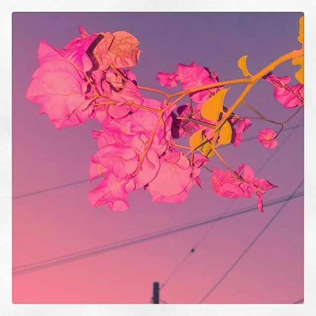 💘📷: @ryshorosky