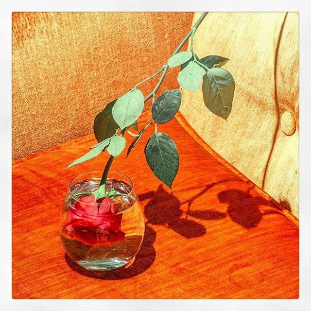 🎨📷 : @hisuzanne