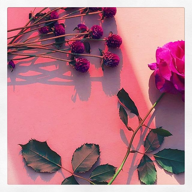 💘✨📷: @piariverola