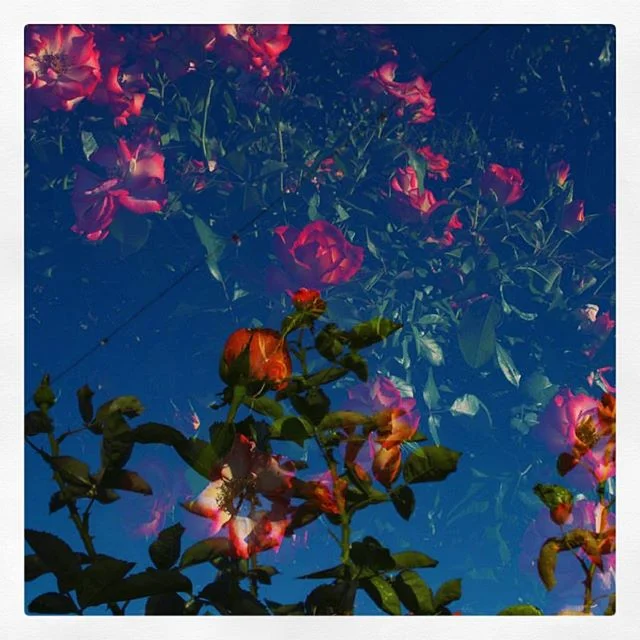 📸💎: @neilkryszak