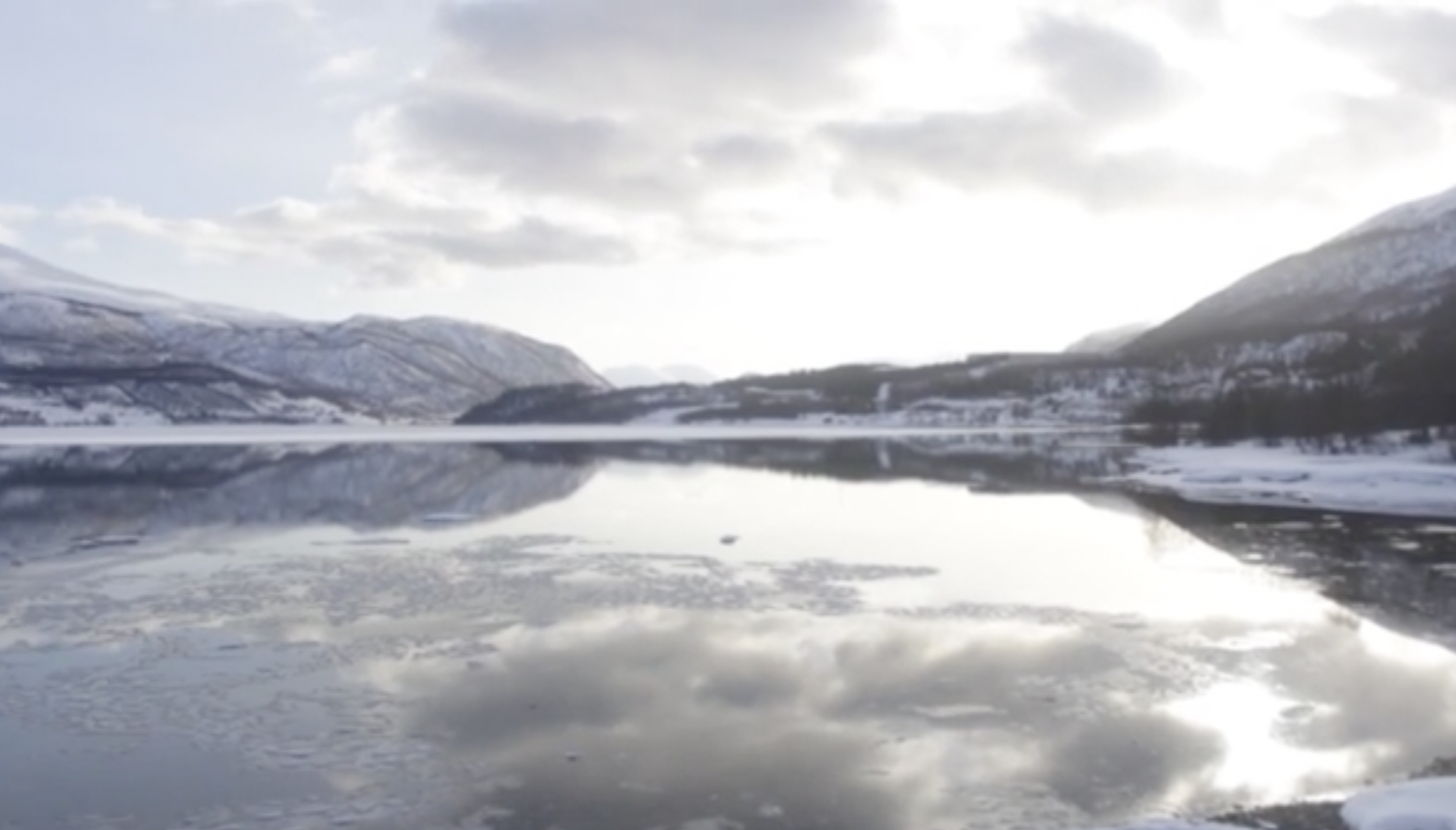 Screen Shot 2023-04-22 at 2.04.55 PM.png