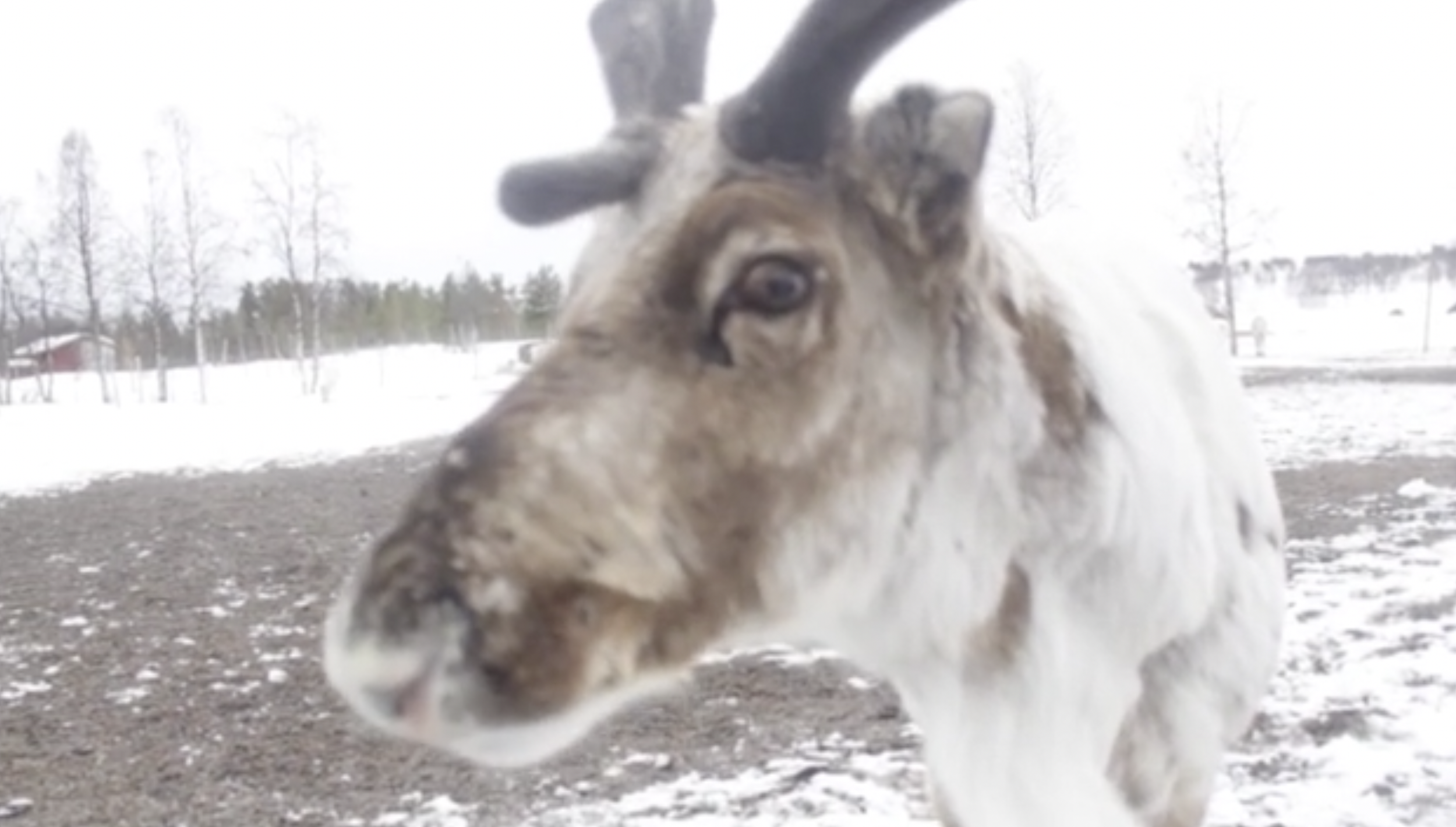 Screen Shot 2023-04-22 at 2.05.56 PM.png