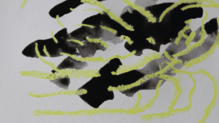 Washington Light Catch-high.gif