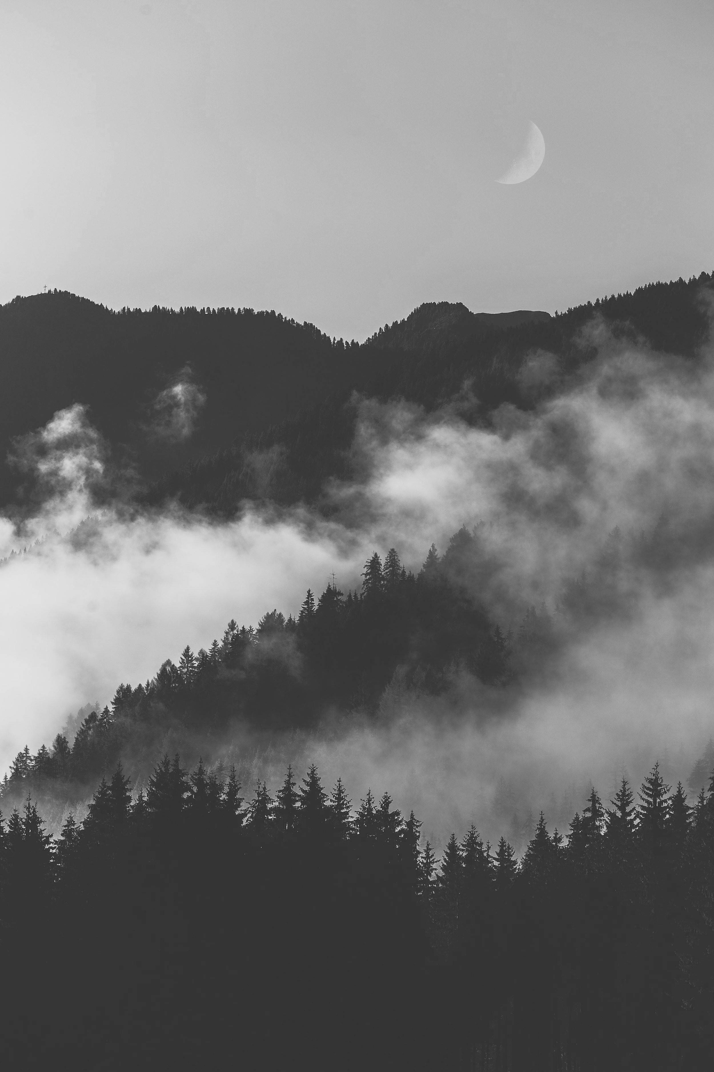 eberhard-grossgasteiger-787107-unsplash+%281%29.jpg