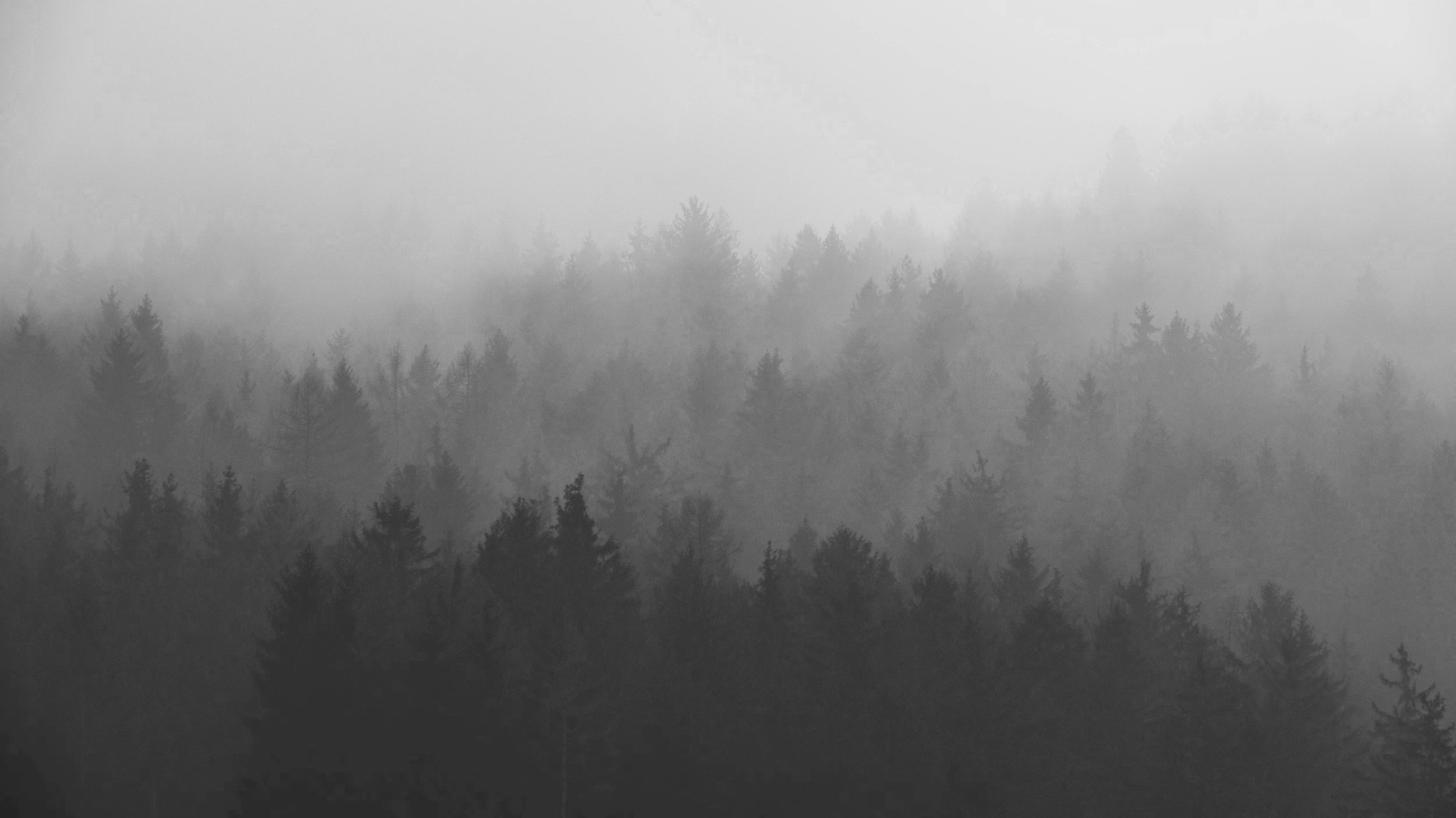paul-gilmore-211347-unsplash.jpg