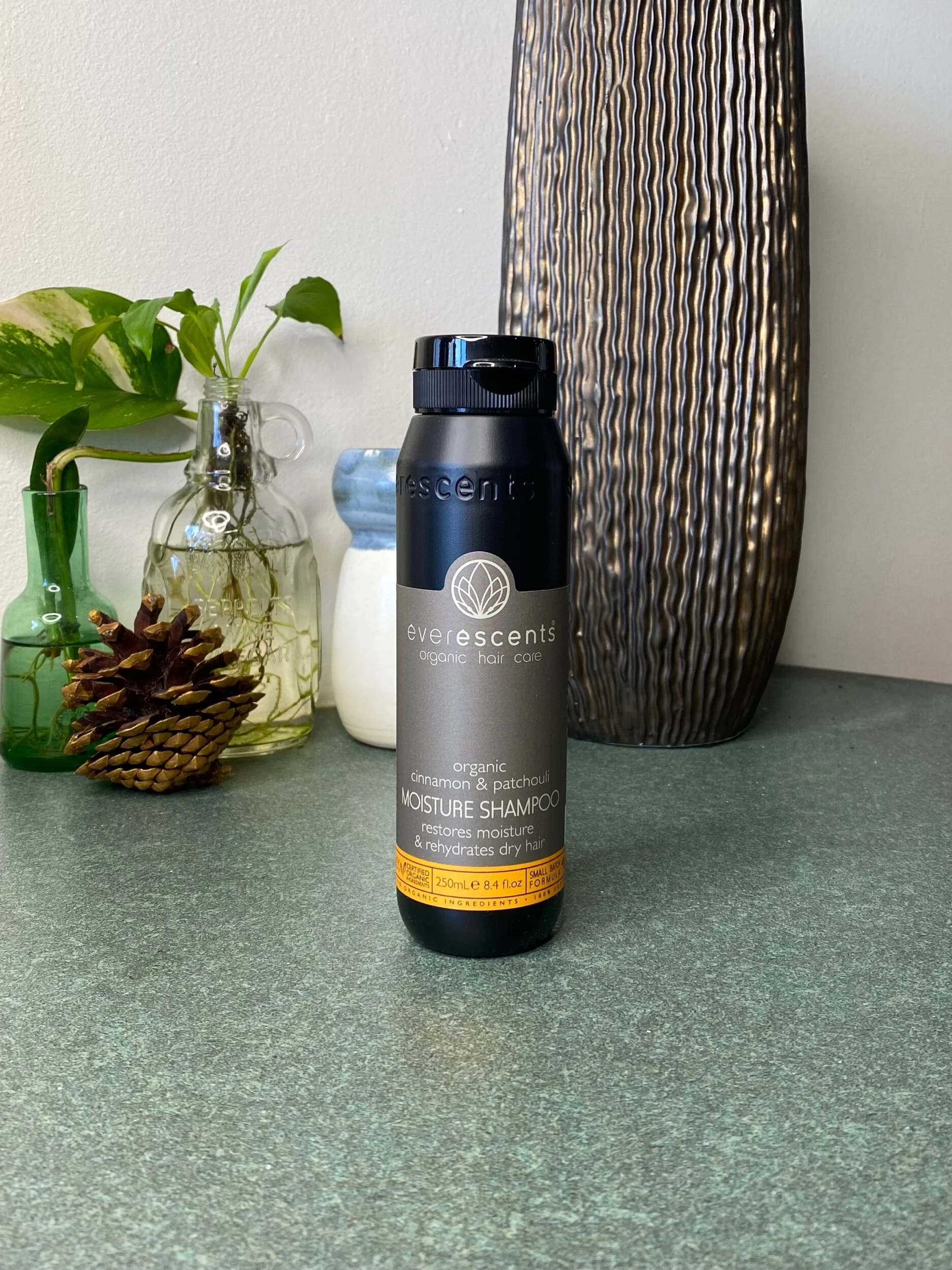 7C789399-B793-460E-9840-2F7567A6B7A9