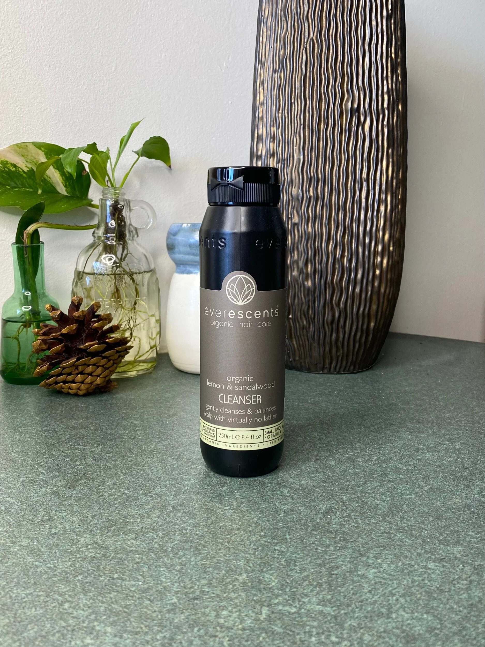 C258E4A4-390D-4C5C-B82D-53C2A06476C2