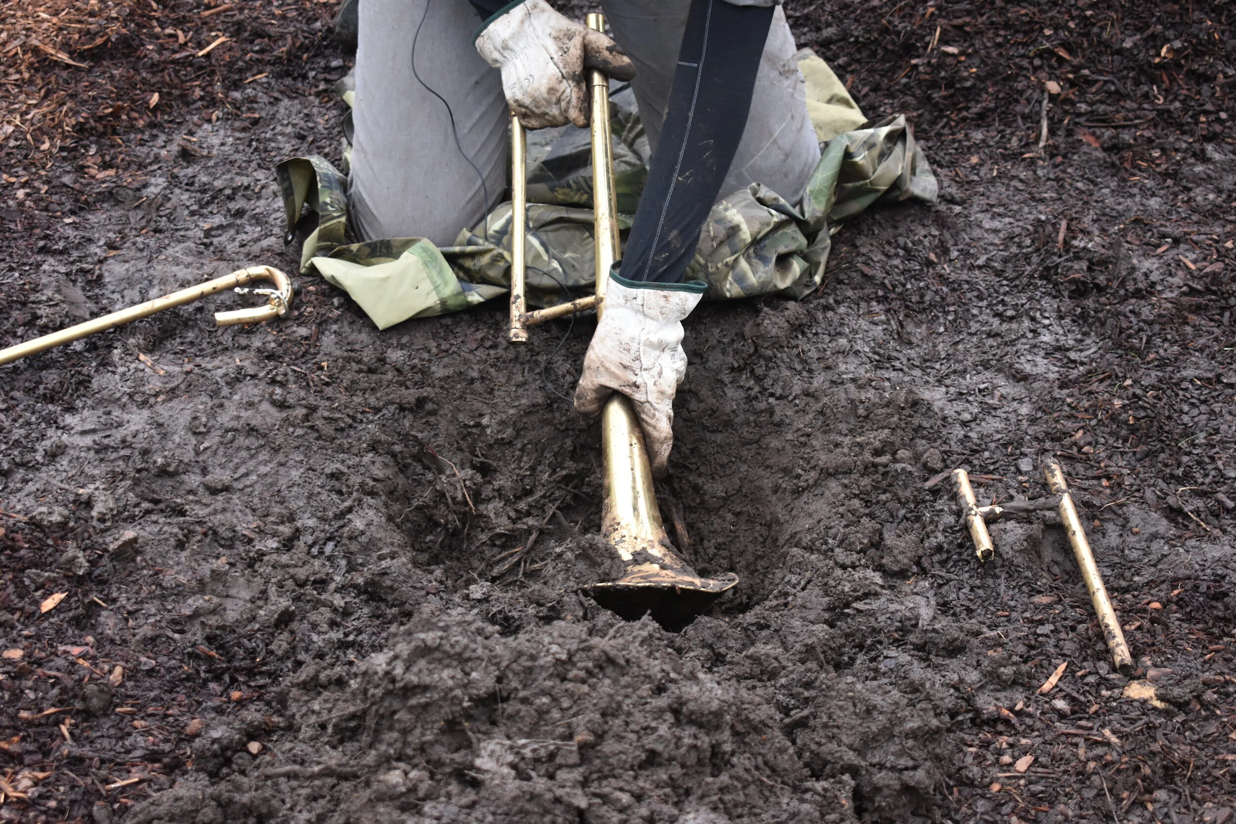  Loren Kronemyer, sound performnace.  