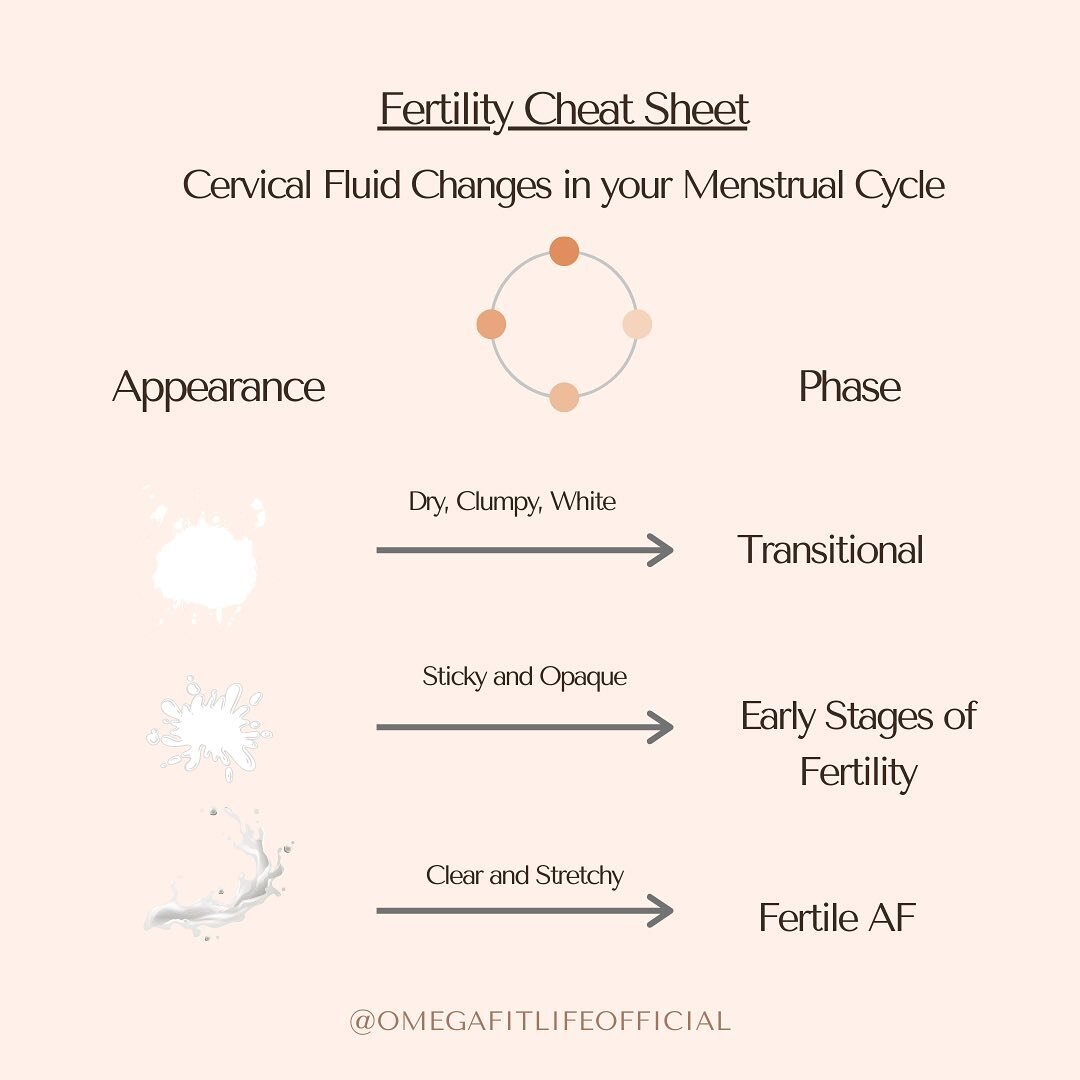 Go from being confused about your fertility to being the master of your #fertilitywindow. 💦 💦 💦 

⬇️SAVE⬇️ this post for a quick reference guide and ➡️SHARE➡️ this post with a friend who is scared sh*tless she's going to have an unplanned pregnanc