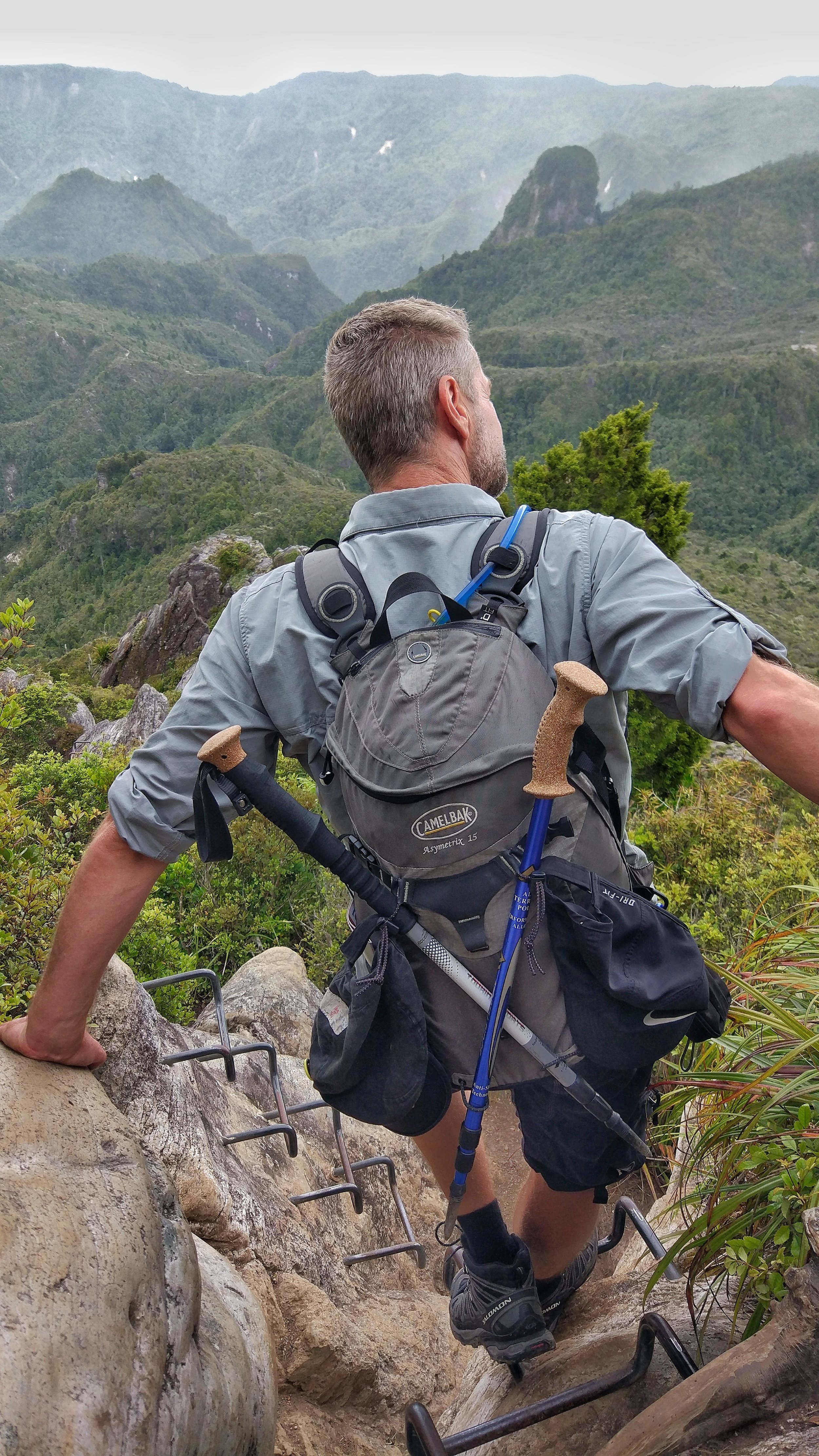 20180101_new_zealand_coromandel_kauaeranga_valley_pinnacles_walk_looking_out_chris.jpeg