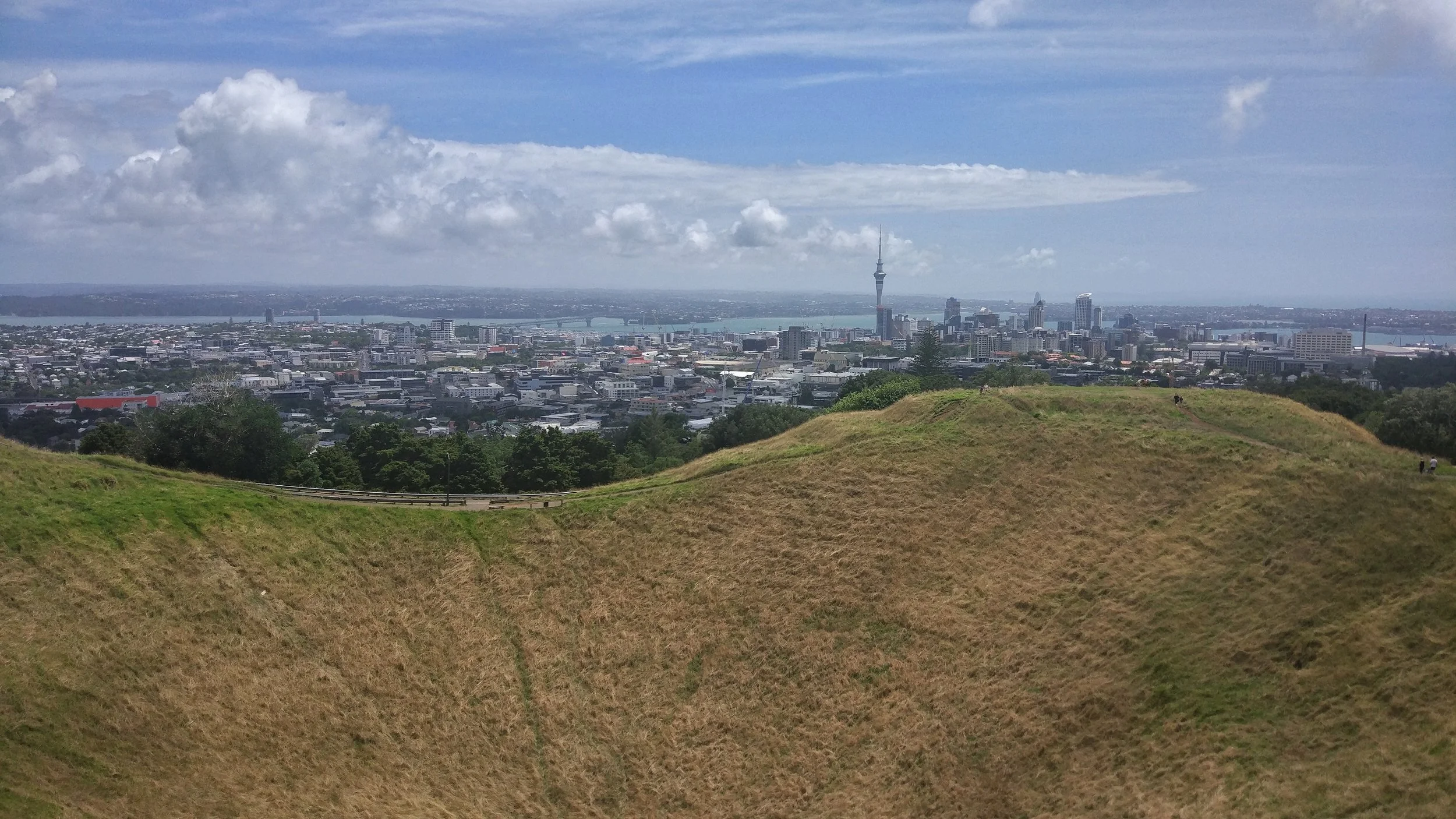 view of auckland city, the sky tower, harbour bridge and the volcano crater from mt eden