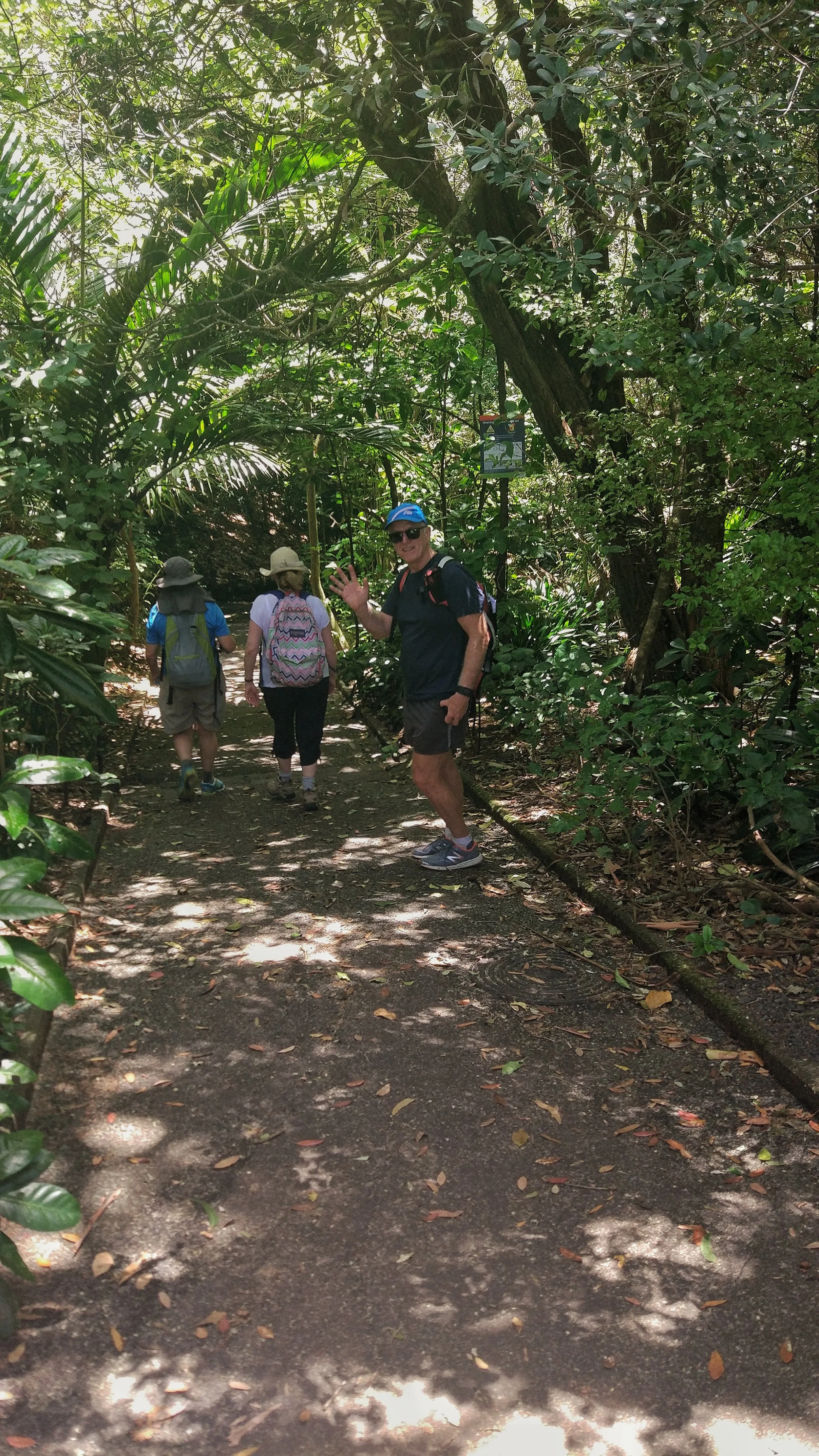 20180120_new_zealand_auckland_coast_to_coast_walkway_auckland_domain_3.jpeg