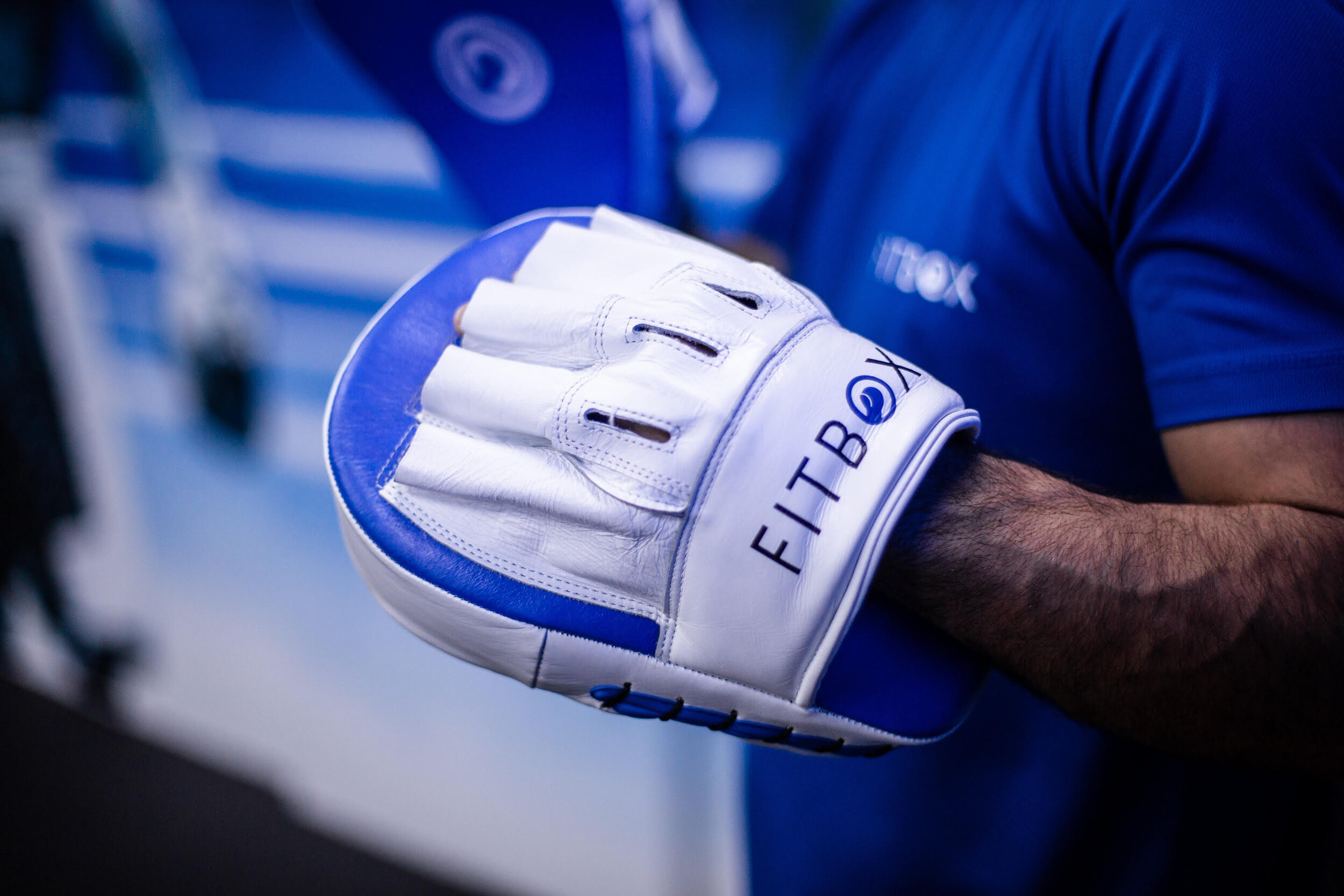 Genuine Leather Boxing Mitts