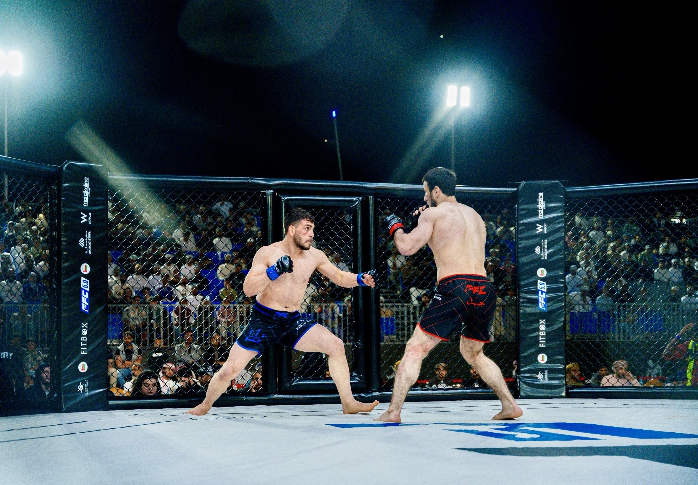 The "Big Three": Choosing Between Boxing, Muay Thai, and MMA—Which One is Right for  You?