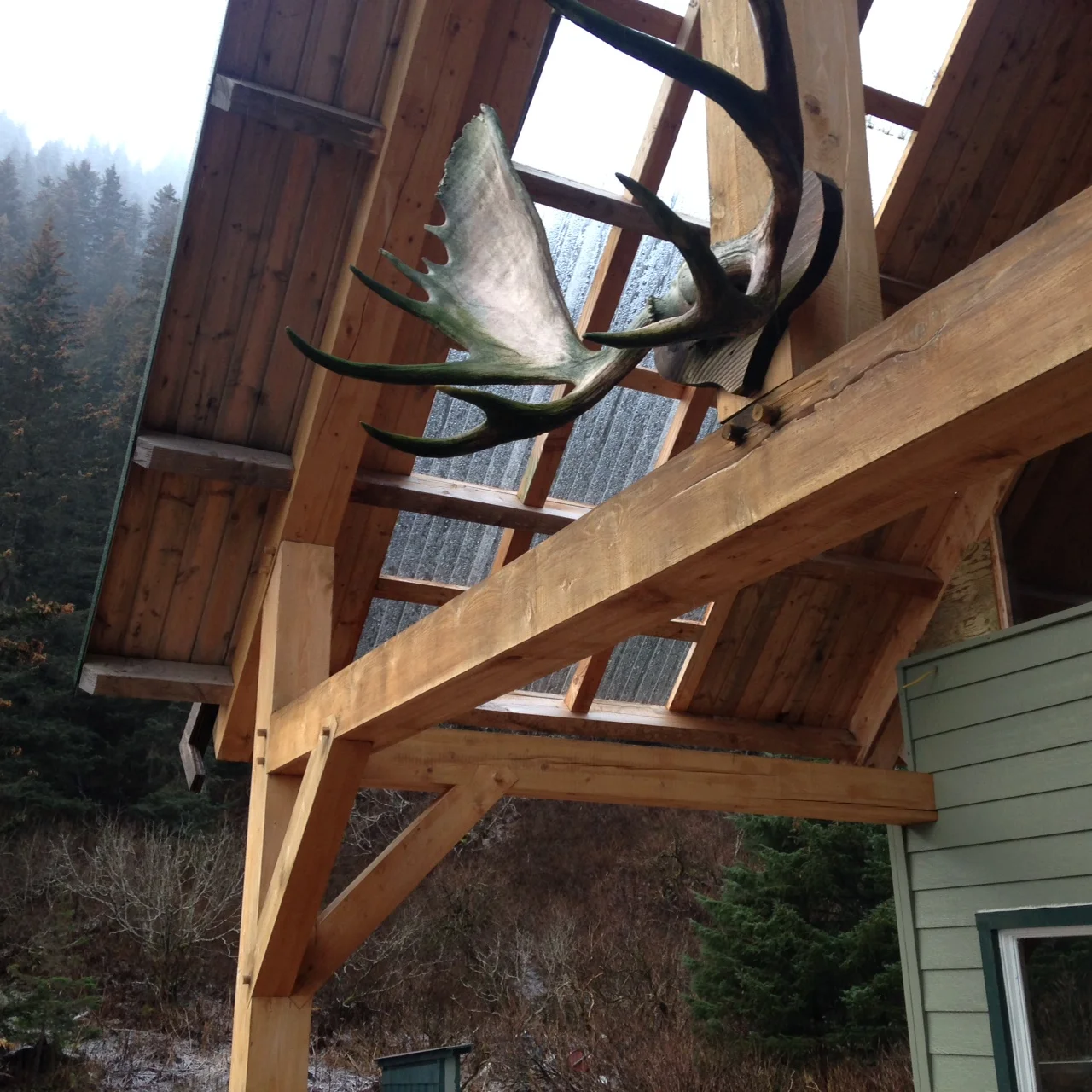 Front deck.jpg