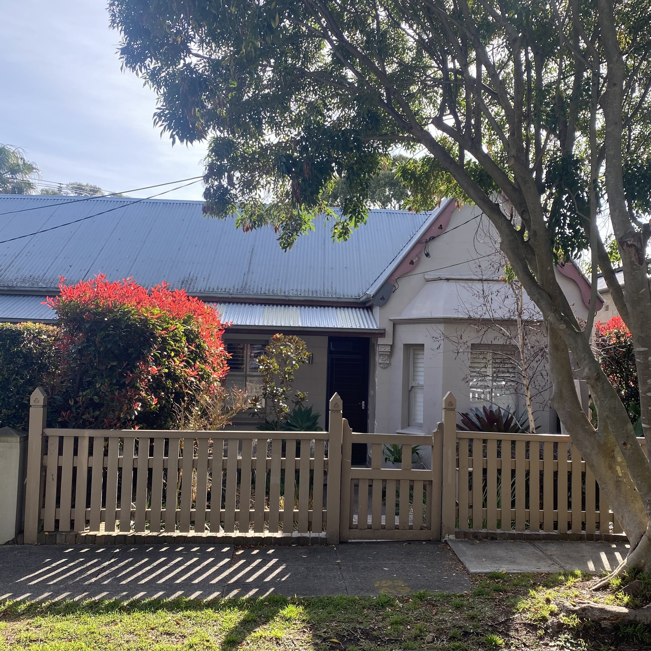 A house with a blue metal roof behind a wooden fence. There are trees and garden plants in front of the house, with shadows cast on the ground from the fence and trees.
