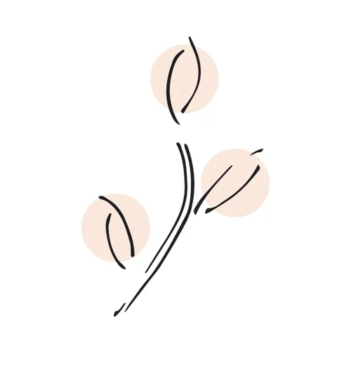 Graphic-peach.jpg