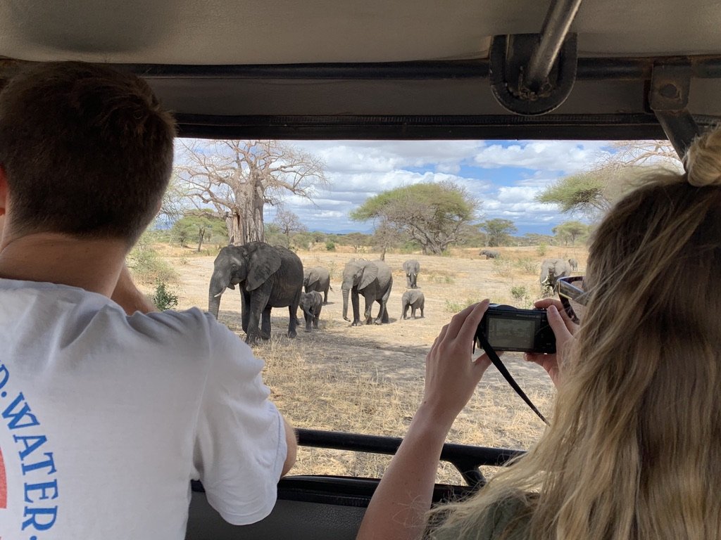 elpahant family in car.jpg