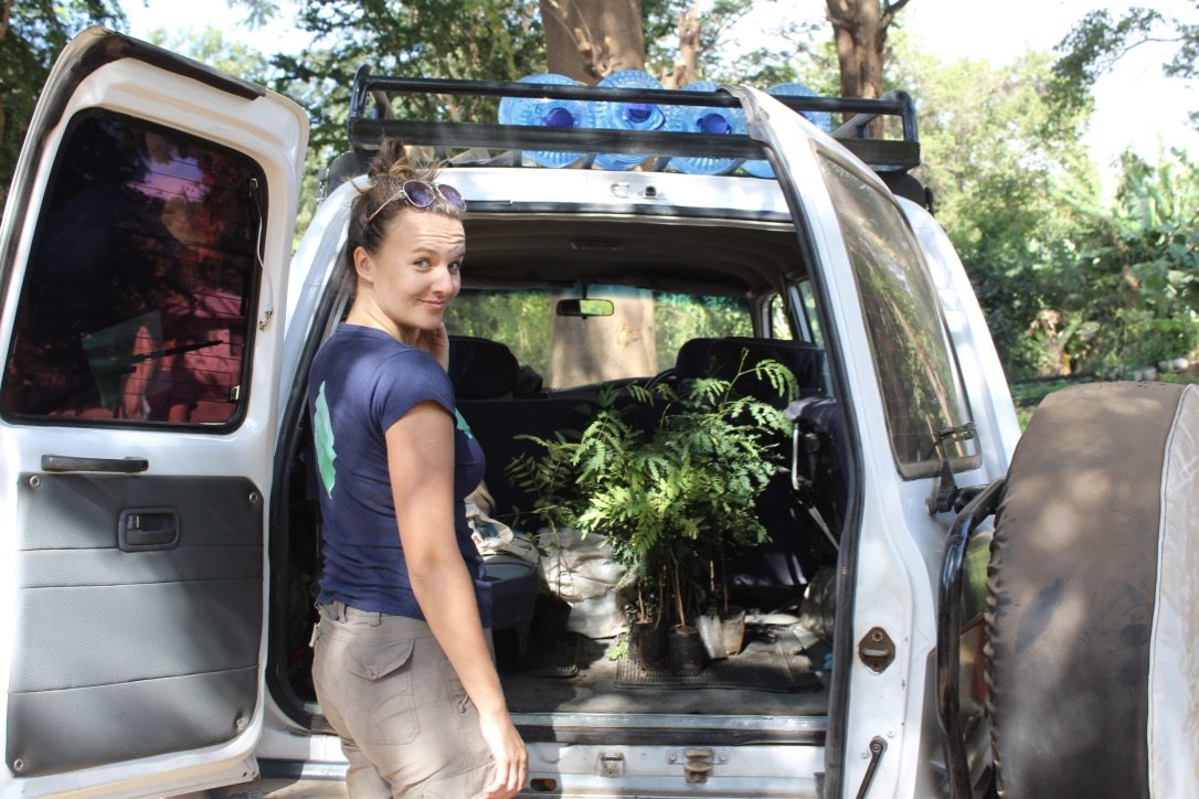 tree planting 1.jpg