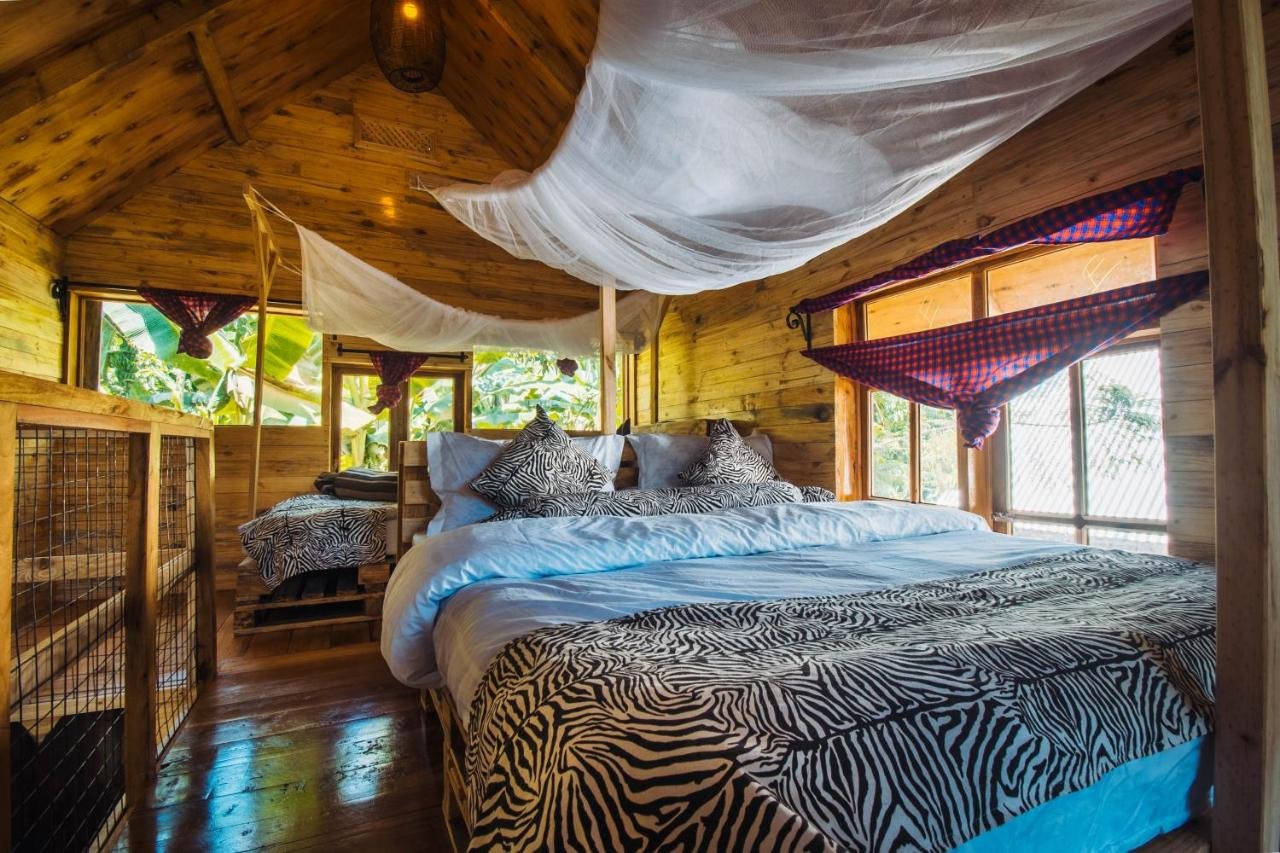 Jungle Eco Cabins &amp; Rooms