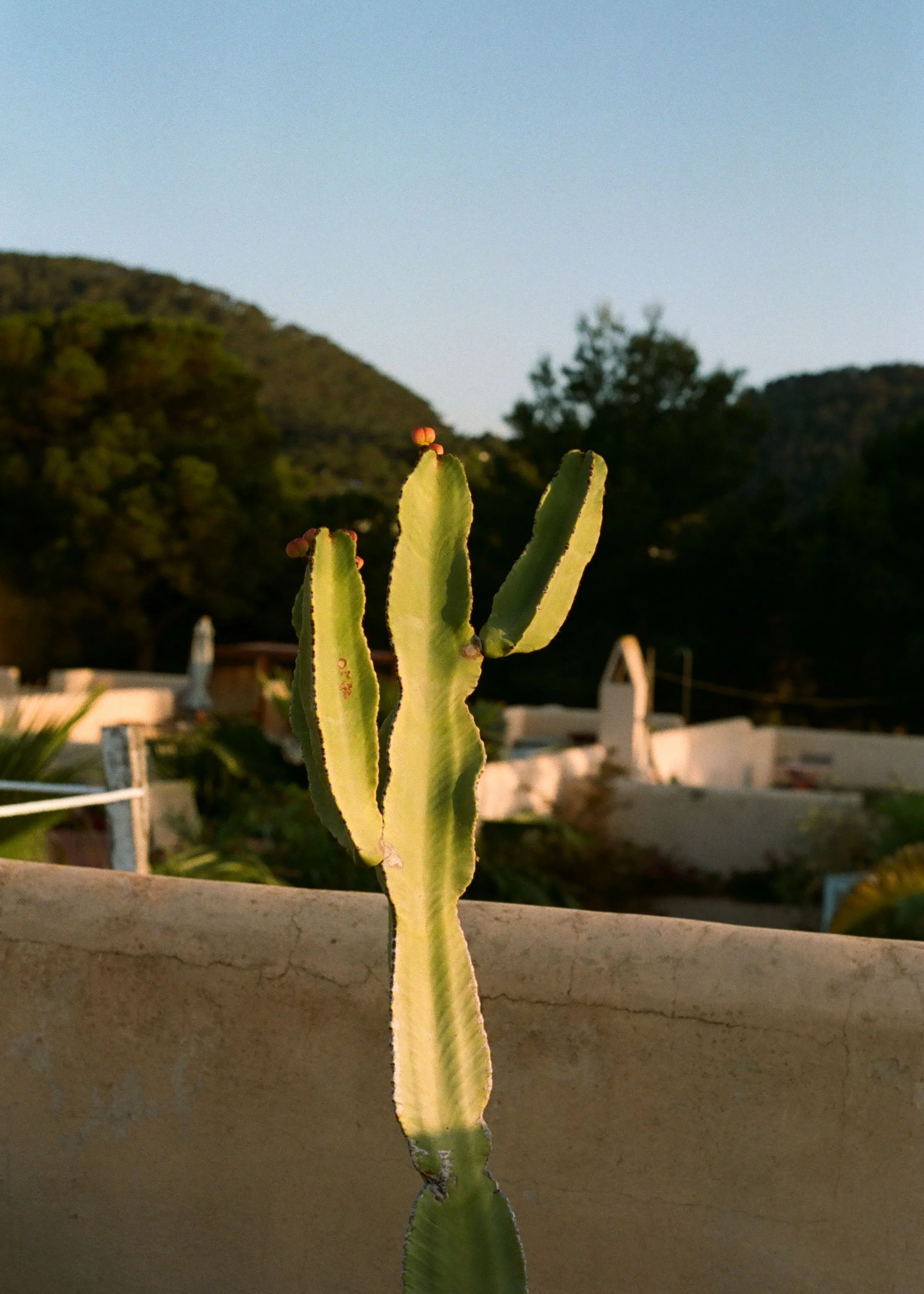 220630000000030015 copy.jpg