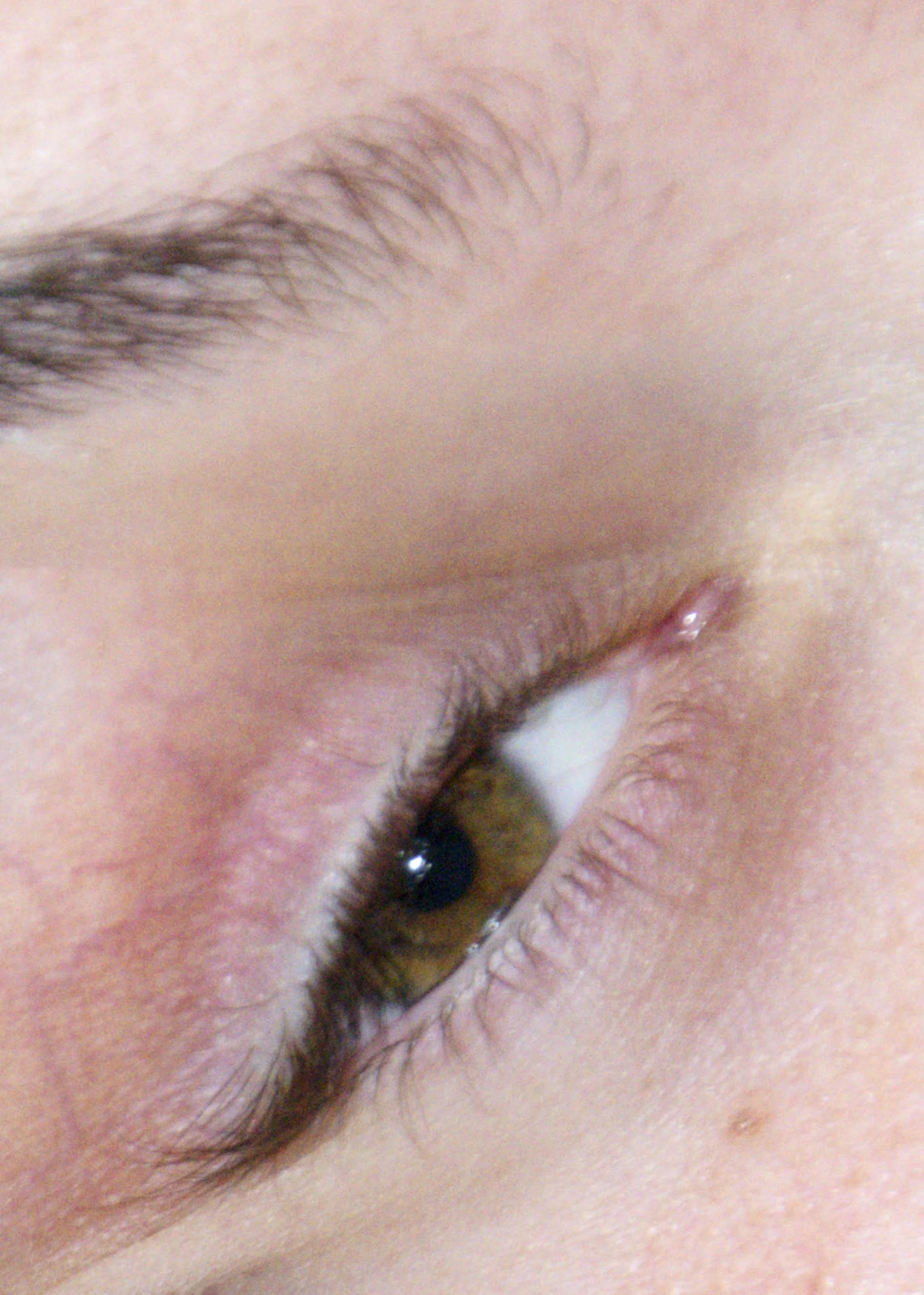 federica's eye.jpg