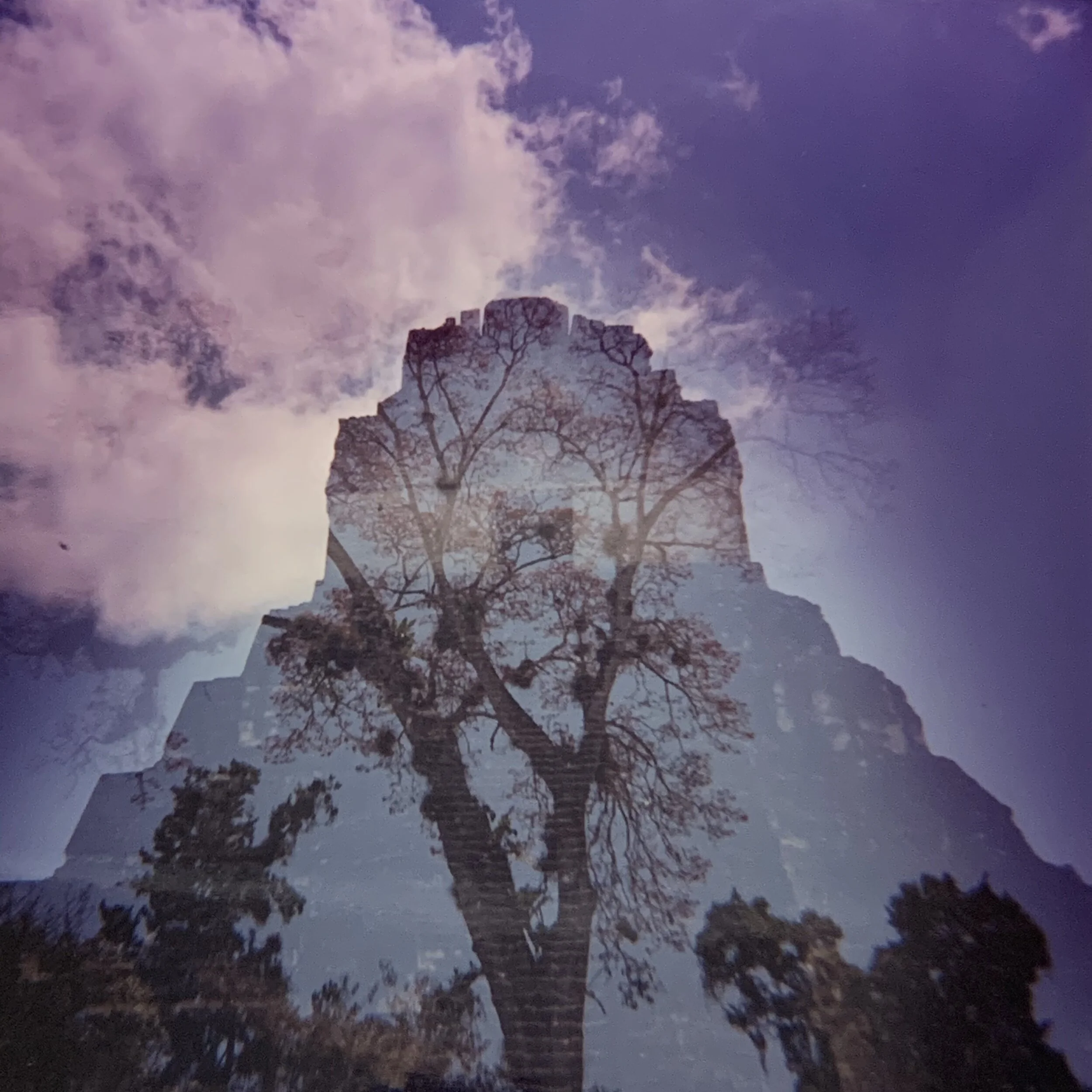 20 INSIDE LEFT Tikal.JPG