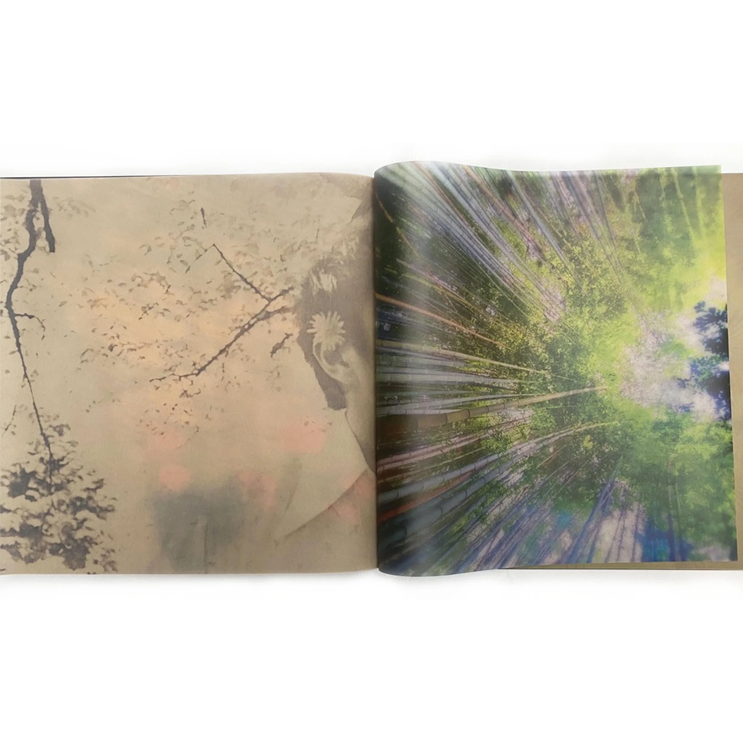 pages_0004_レイヤー 3.jpg