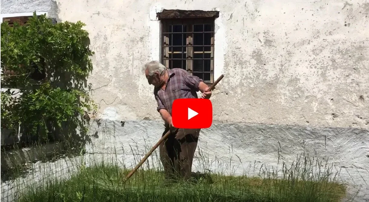 Antichi gesti al museo - video