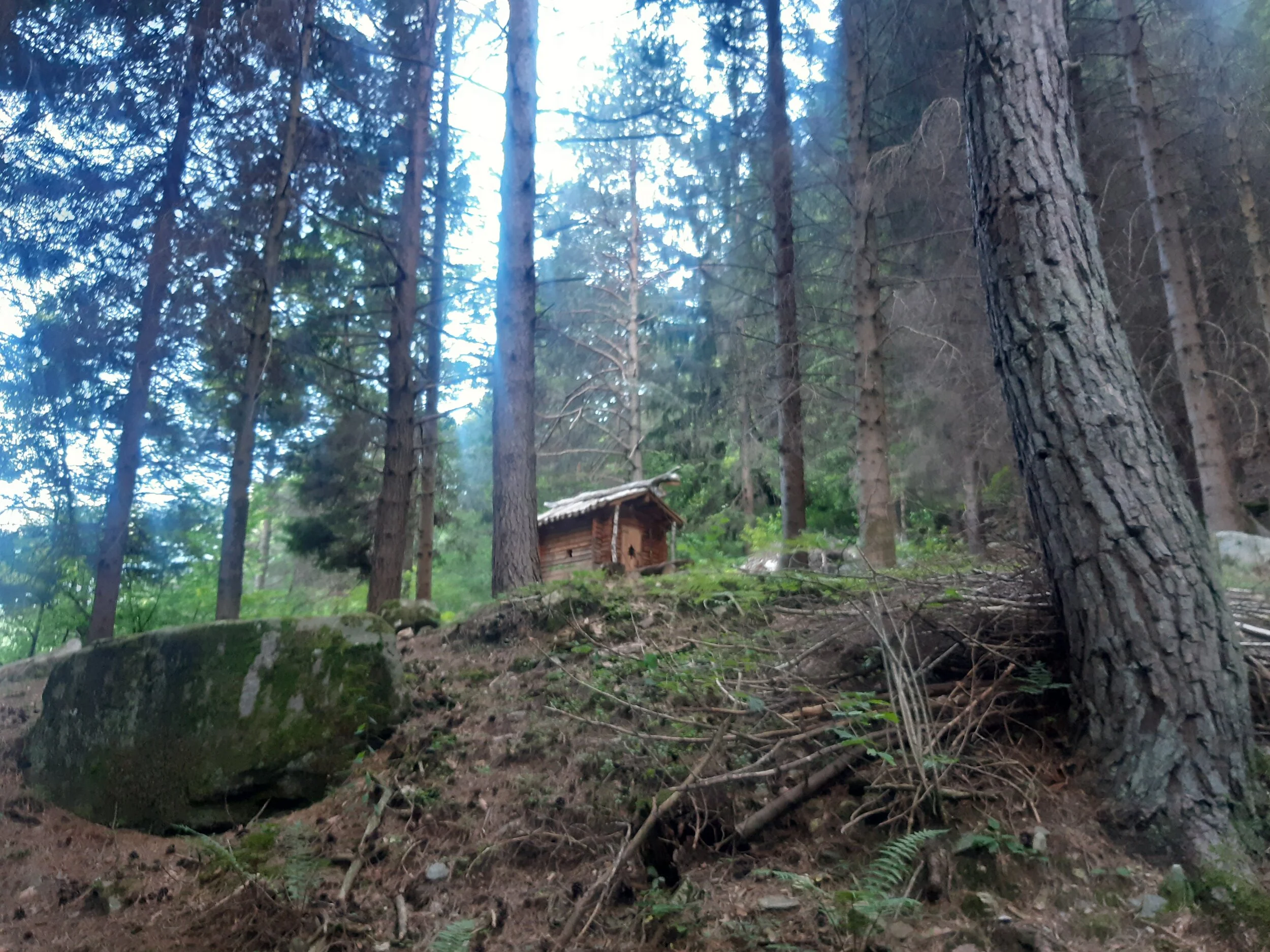 La casa delle streghe - sentiero delle leggende 