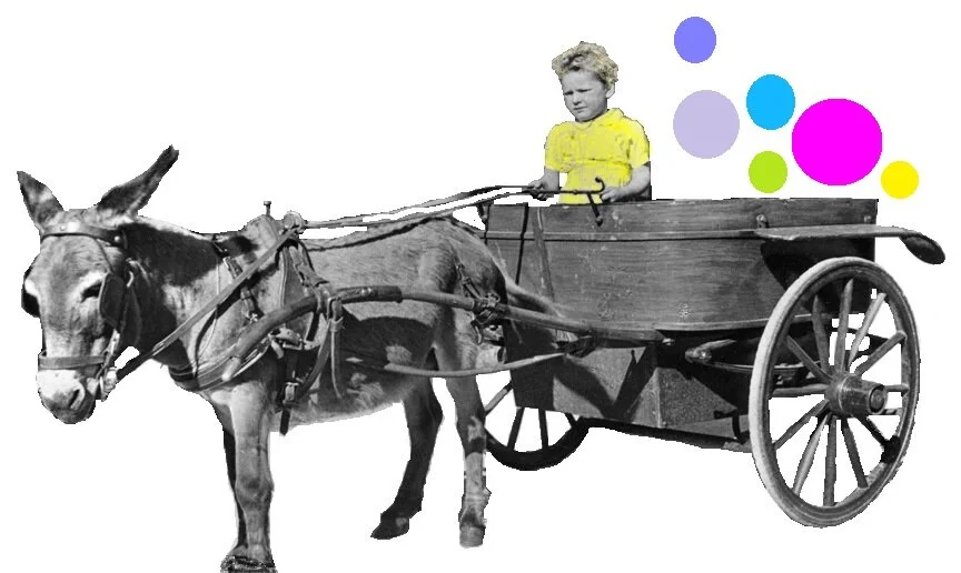 16 maggio - GIORNATA INTERNAZIONALE DEI MUSEI / INTERNATIONALER MUSEUMSTAG