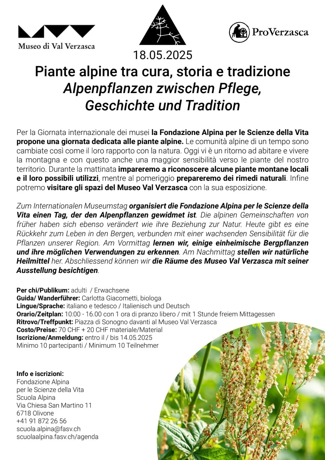 18.5 - laboratorio Piante alpine, tra cura, storia e tradizione