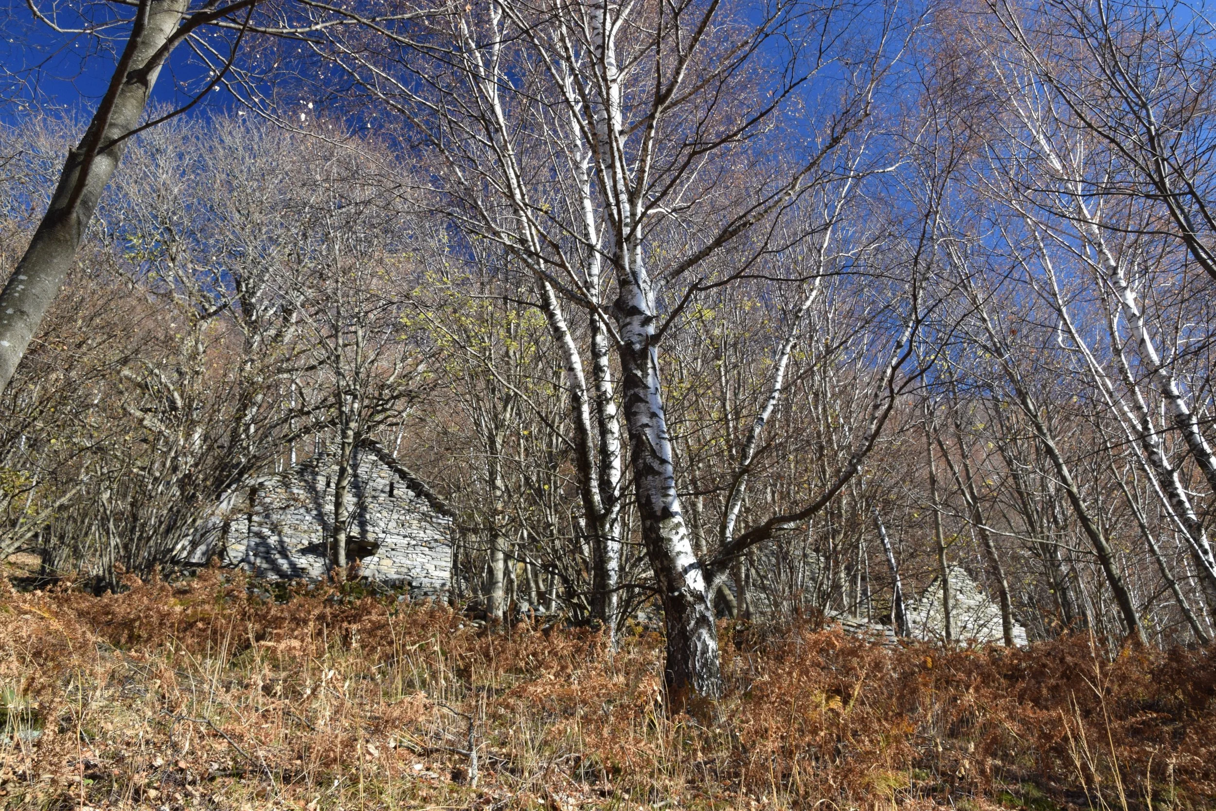 18.10.2025 - ESCURSIONE A PIANO DEL MONTE (Lavertezzo) - iscrizione 16.10
