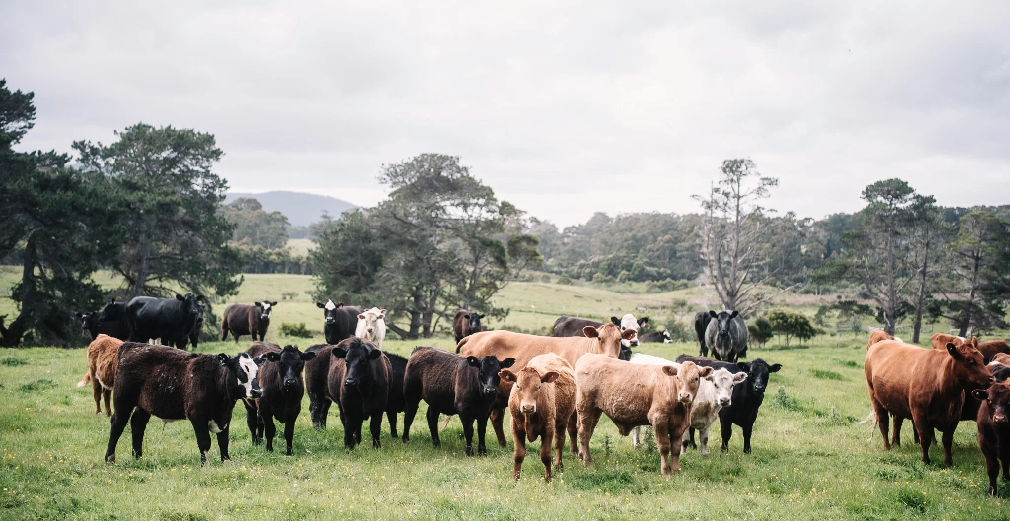 Photograph by Jonathan Wherrett ( @jonathanwherrett )