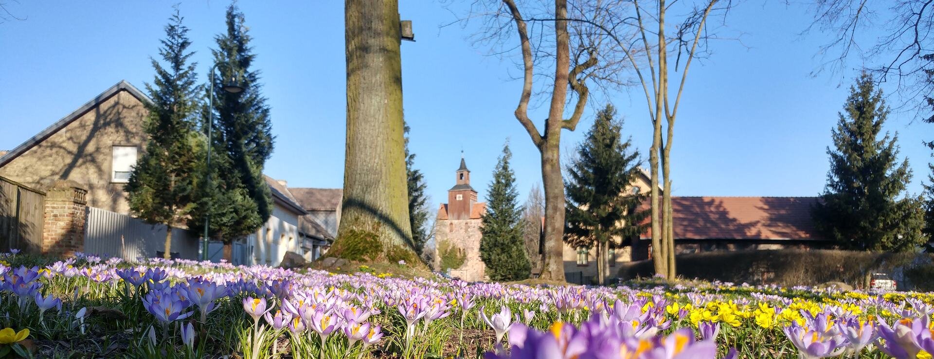  Falkenthal, Löwenberger Land     Ein Dorf zum Wohlfühlen  