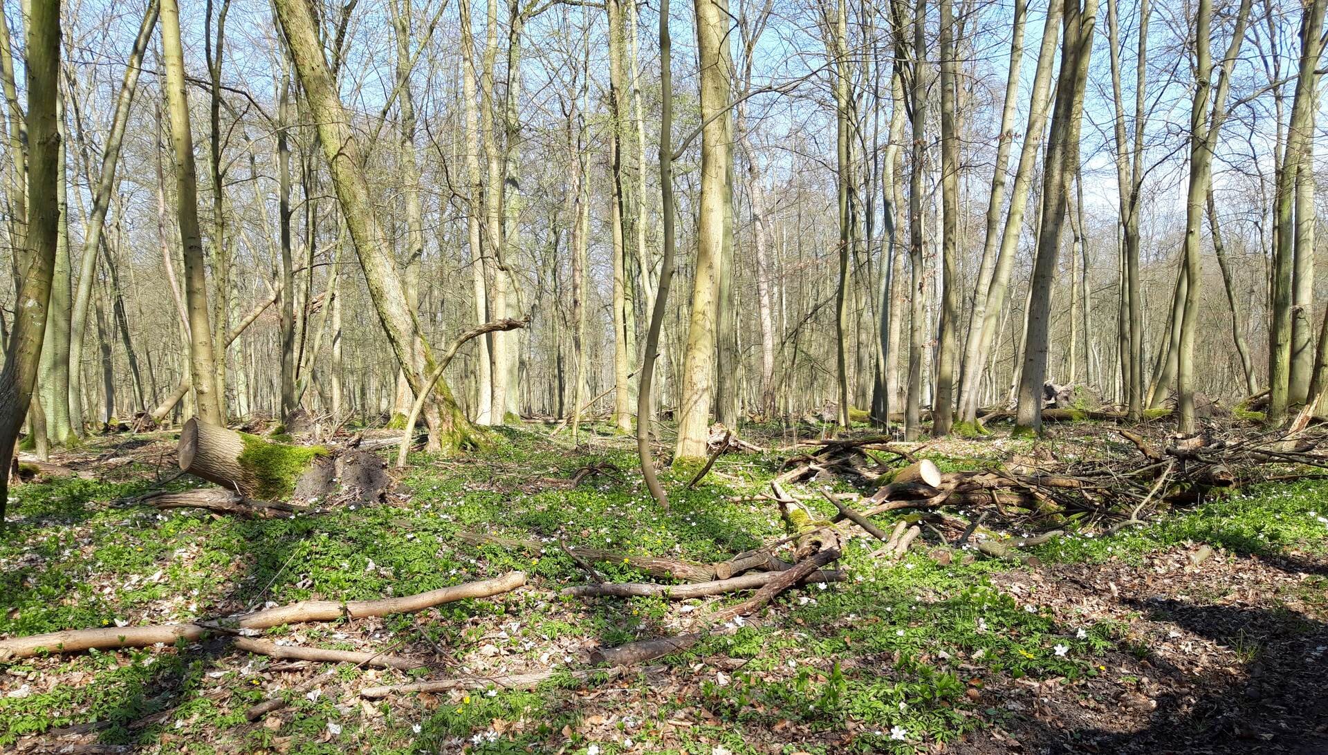  Falkenthal, Löwenberger Land     Ein Dorf zum Wohlfühlen  