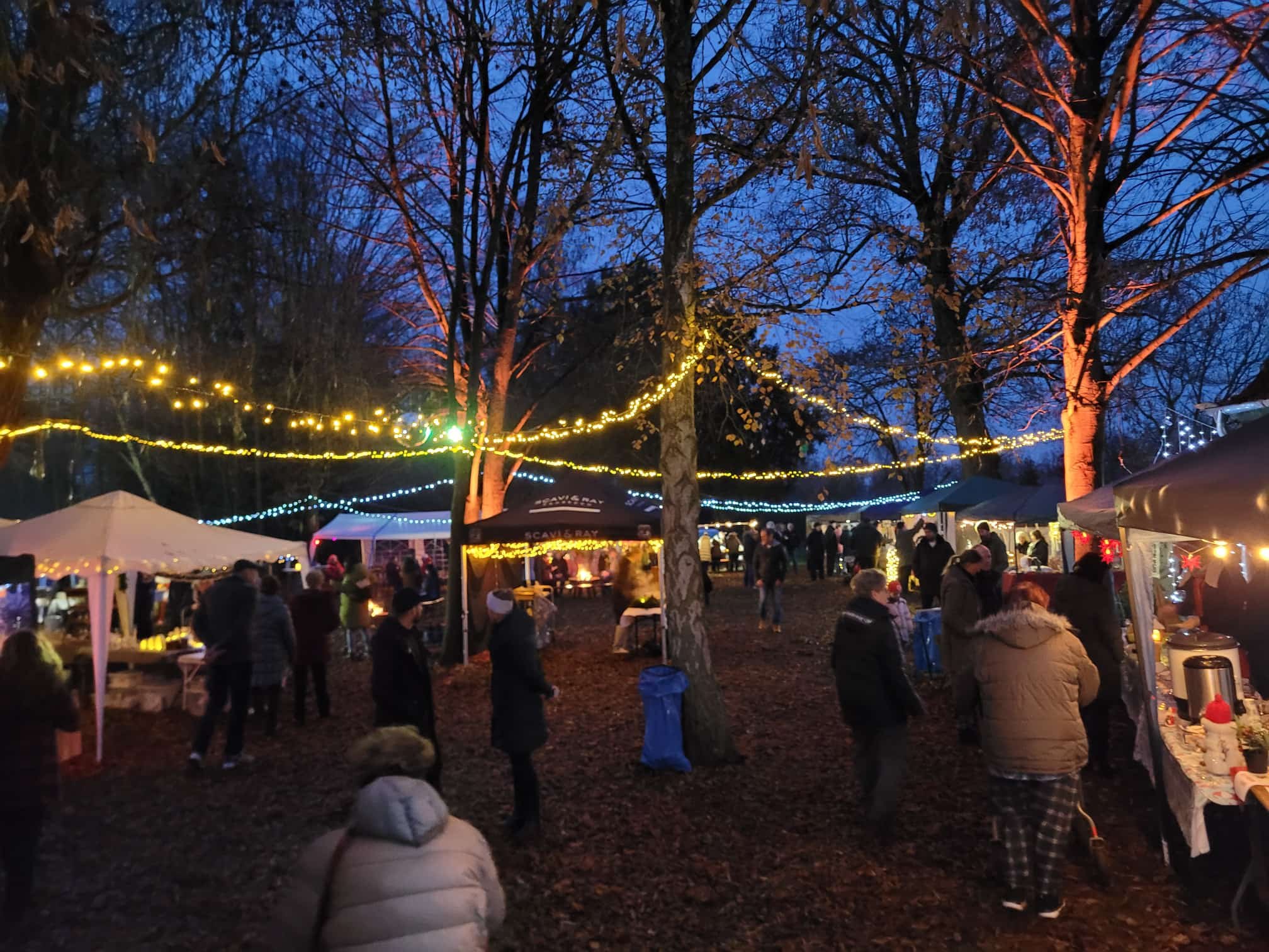 WhatsApp Image 2025-11-30 at 19.47.56.jpeg