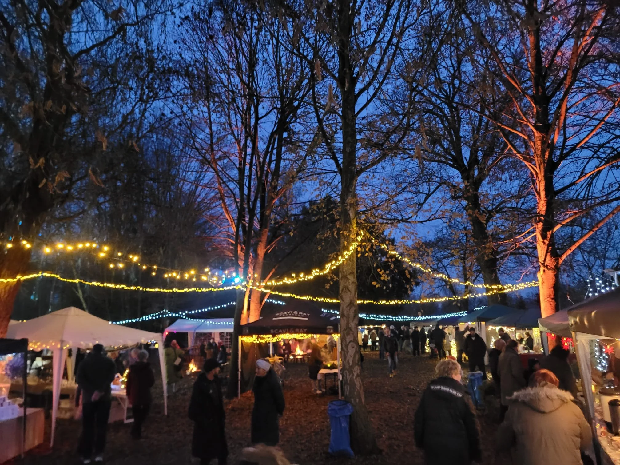 WhatsApp Image 2025-11-30 at 19.47.57.jpeg