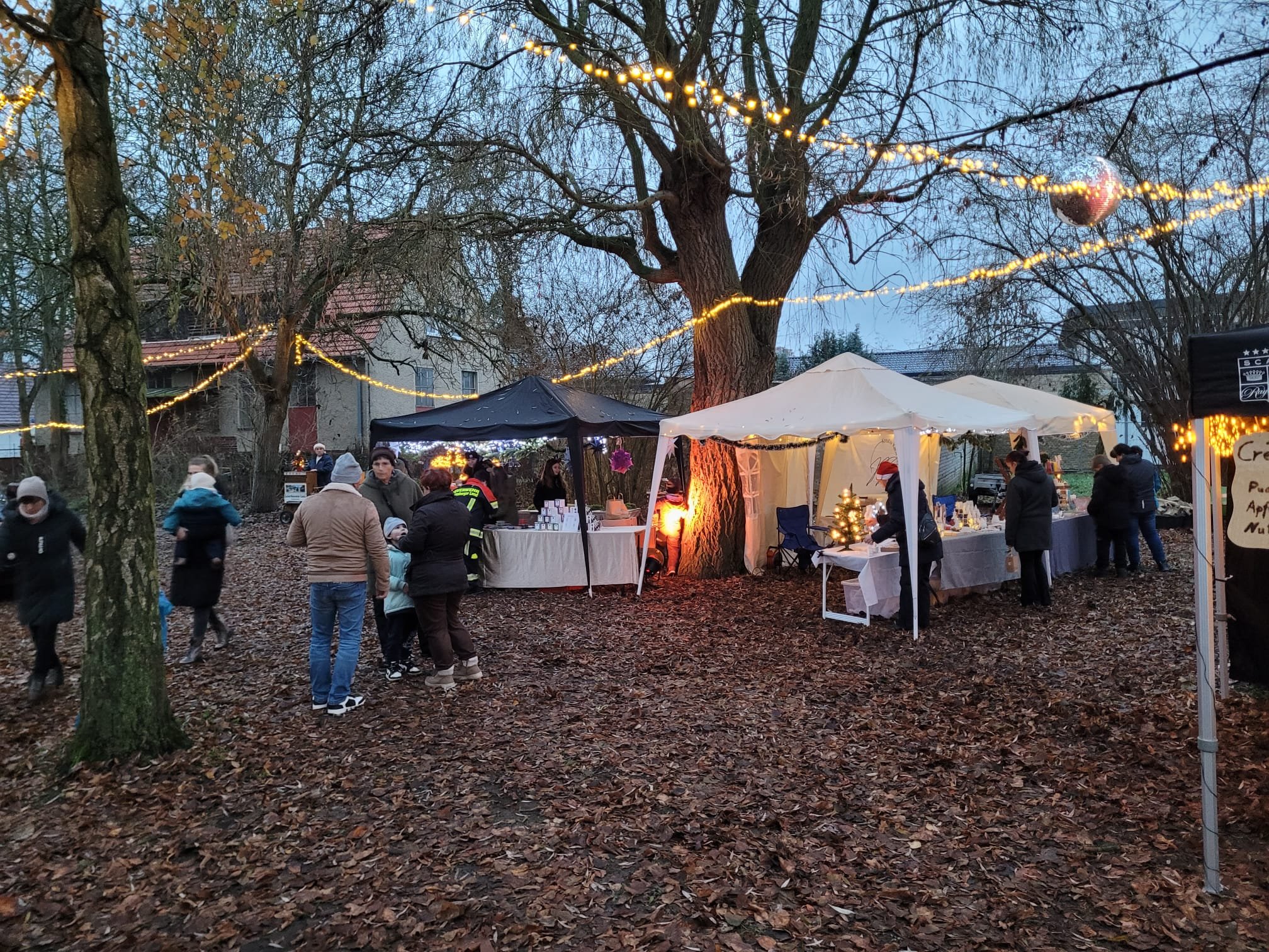 WhatsApp Image 2025-11-30 at 19.47.59.jpeg