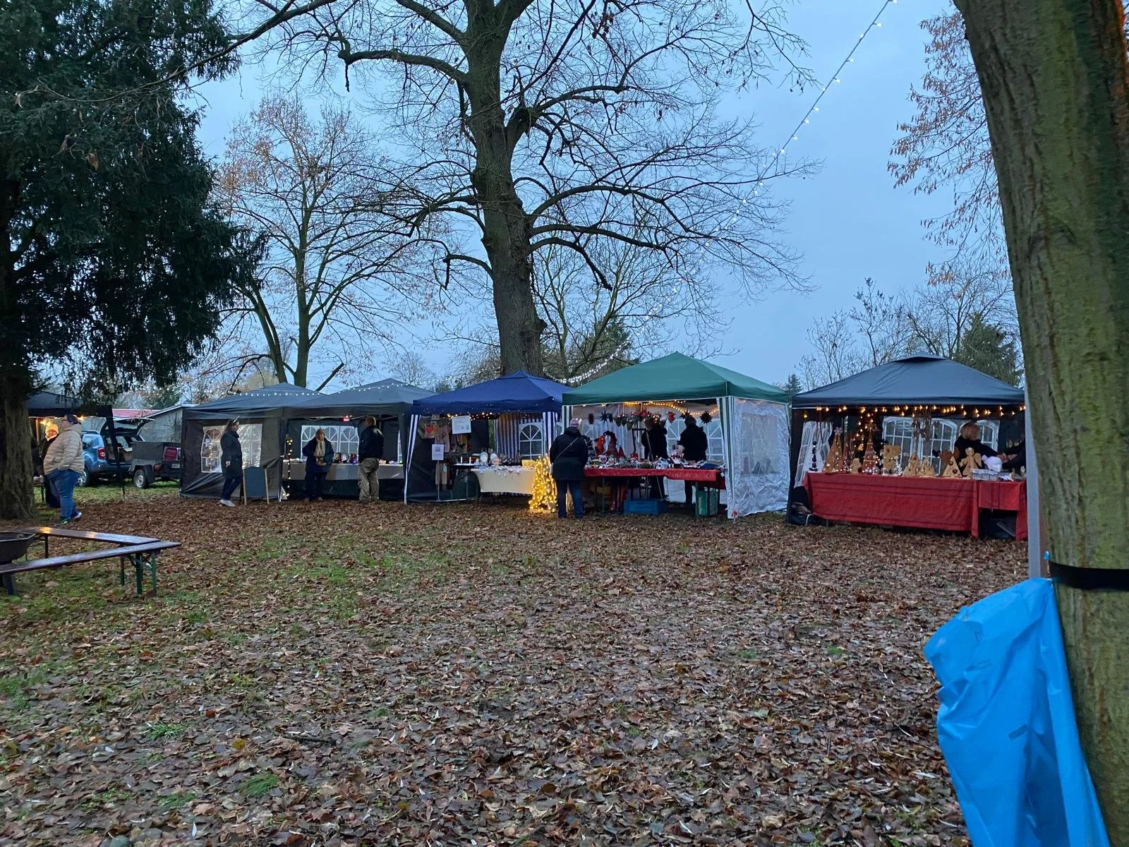 WhatsApp Image 2025-11-29 at 21.58.10.jpeg