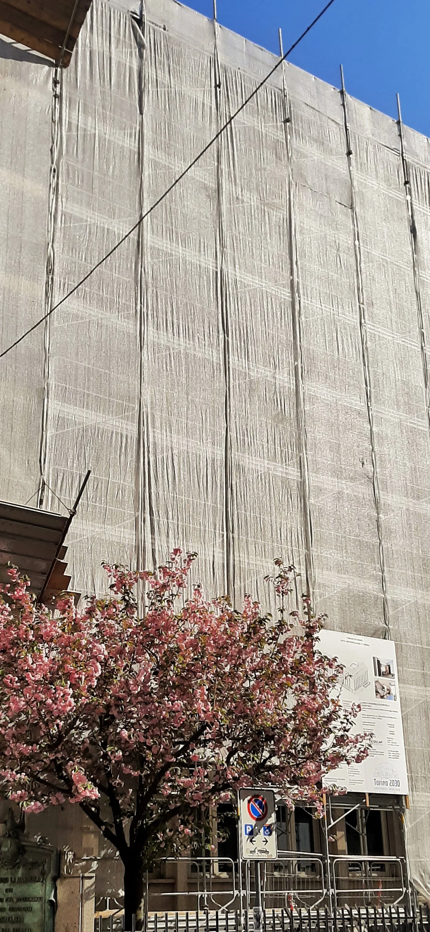 Collegio Einaudi, sezione Mole - La primavera al cantiere.