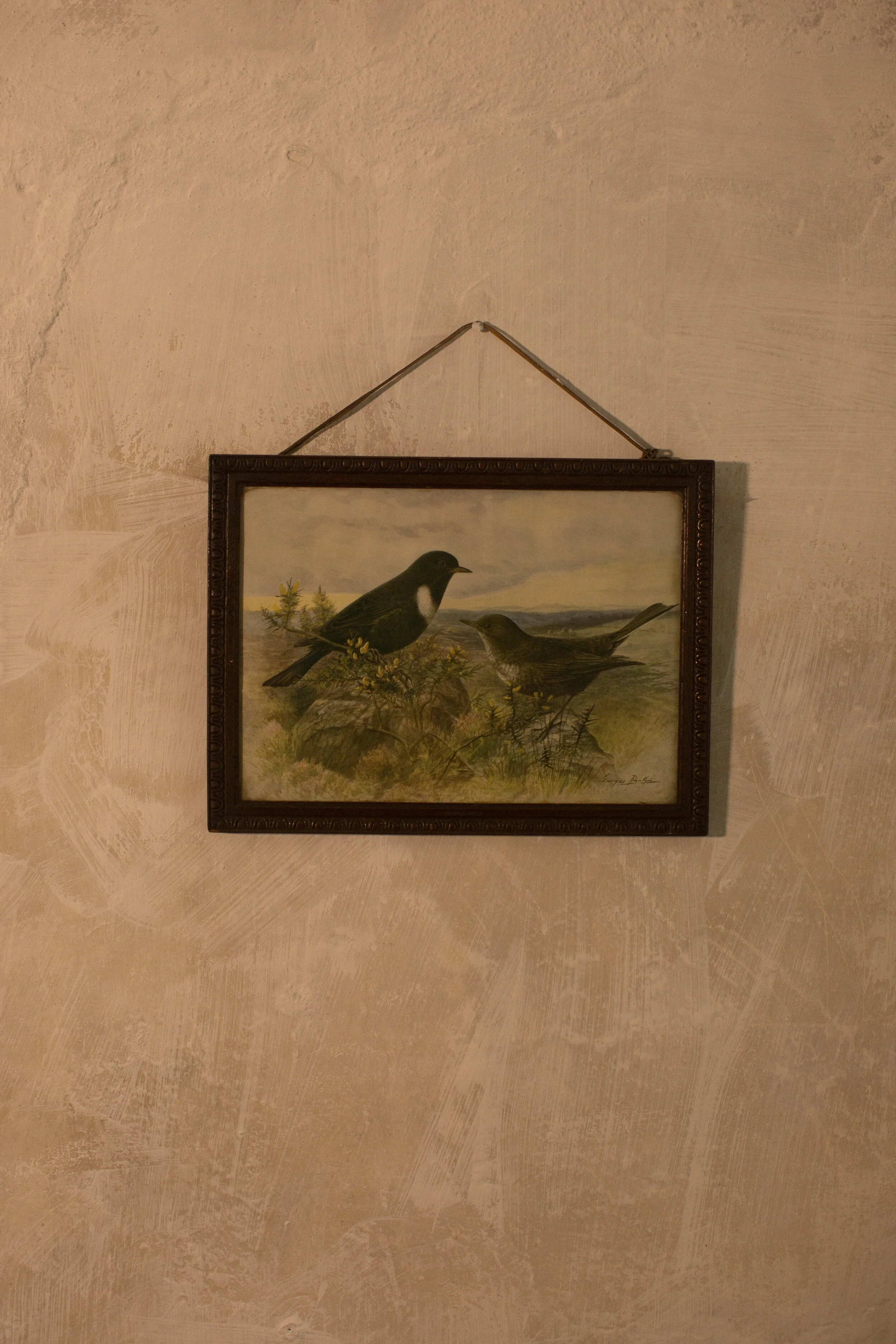 jdpryce-john-smedley-scotland-6741 2.JPG