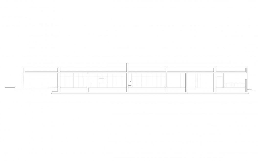 n2-1055x660.jpg