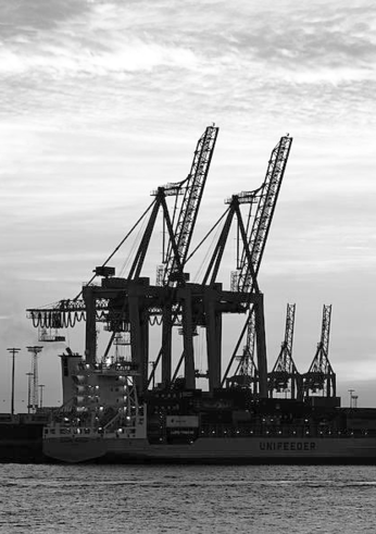 DRAWBRIDGE, Gdansk (PL), International comeptition, Completed, 2017