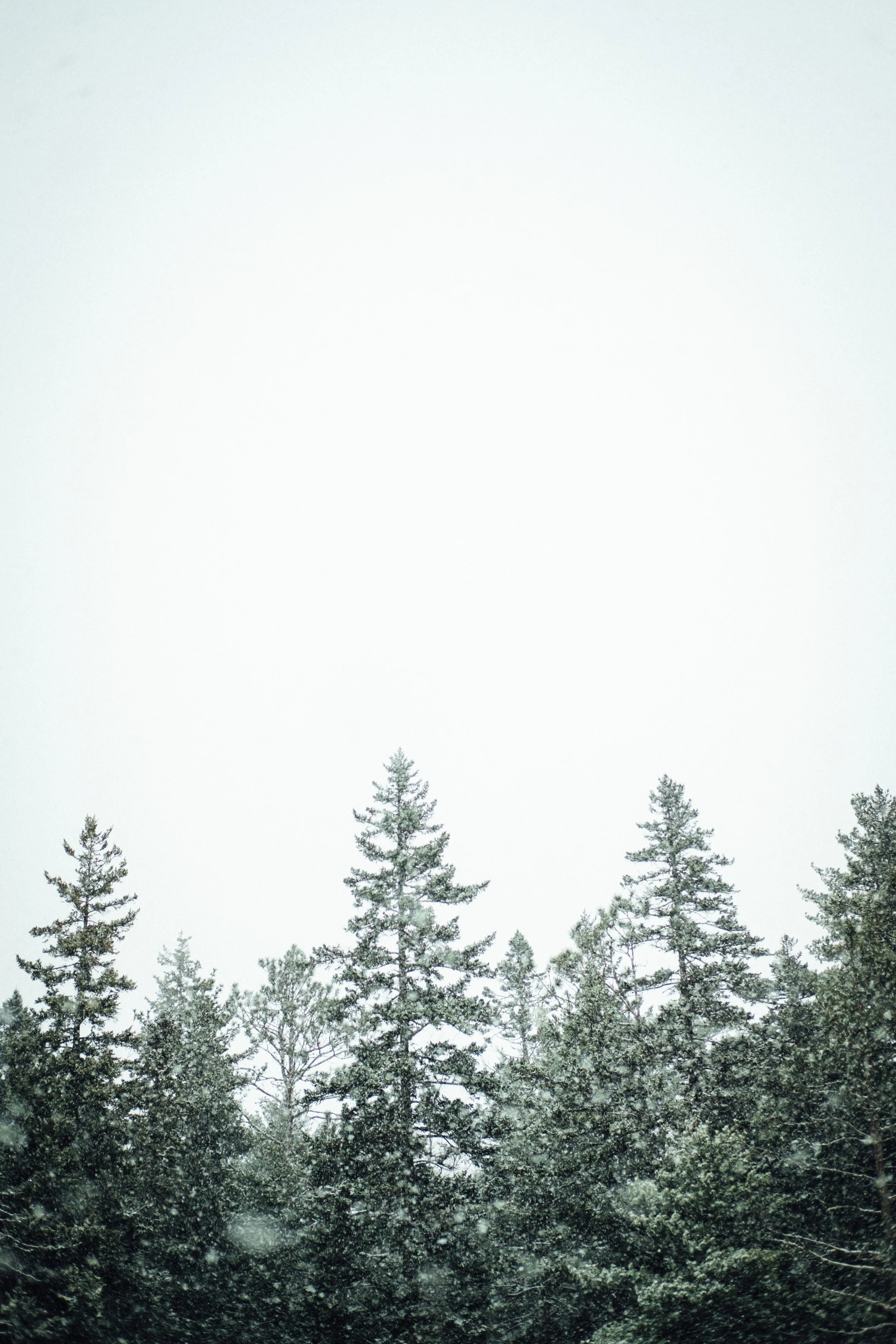 tim-foster-1387368-unsplash.jpg