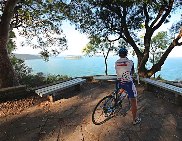 Screen Shot 2019-03-30 at 7.43.09 AM.png