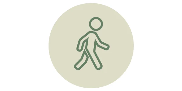 Cosa prevedono i progetti di Erranze Marchigiane e Camminando Sui Tuoi Passi