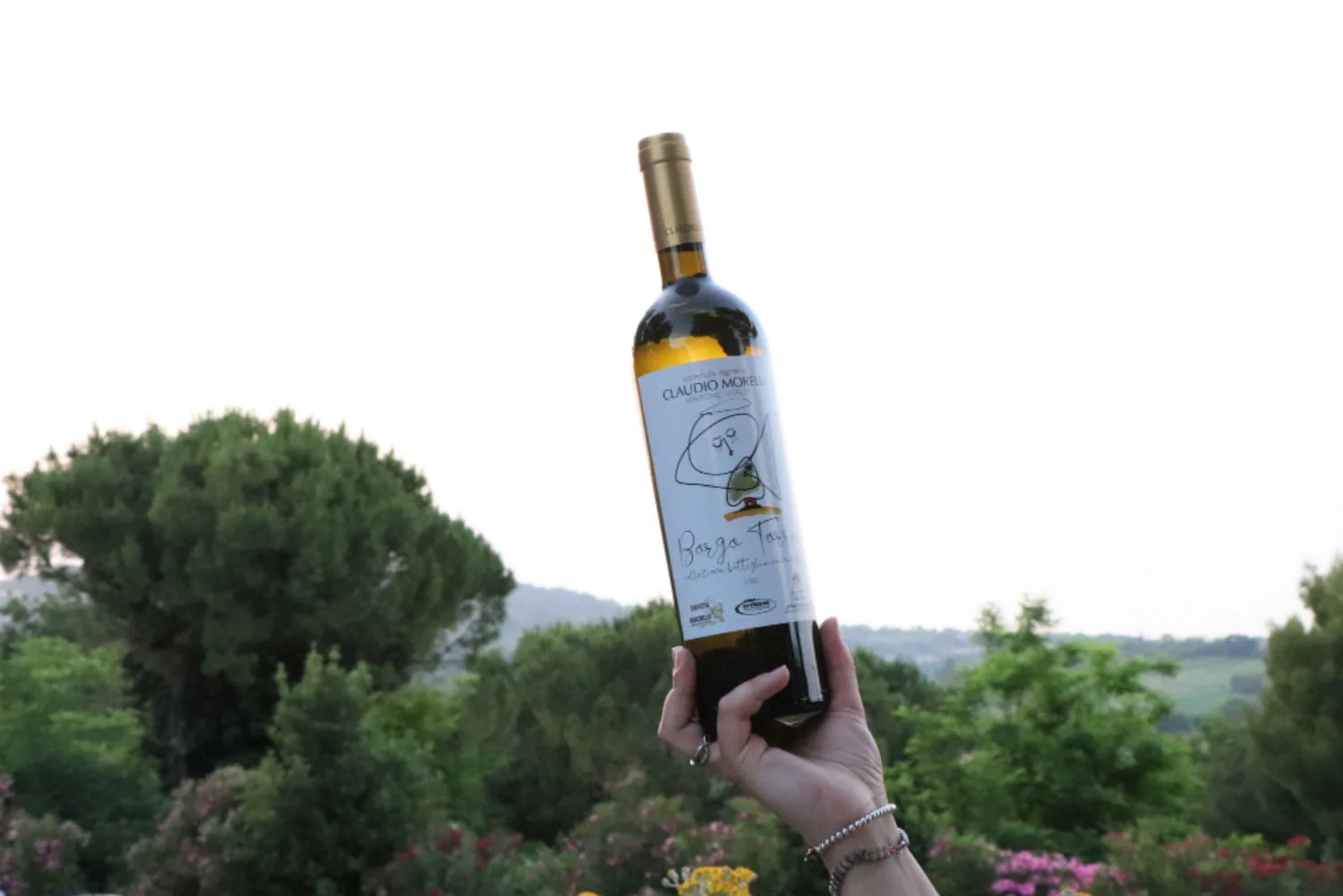 Francesca Pirozzi onlus l’etichetta artistica cibo ideale la borgo torre bianchello del metauro superiore Claudio Morelli