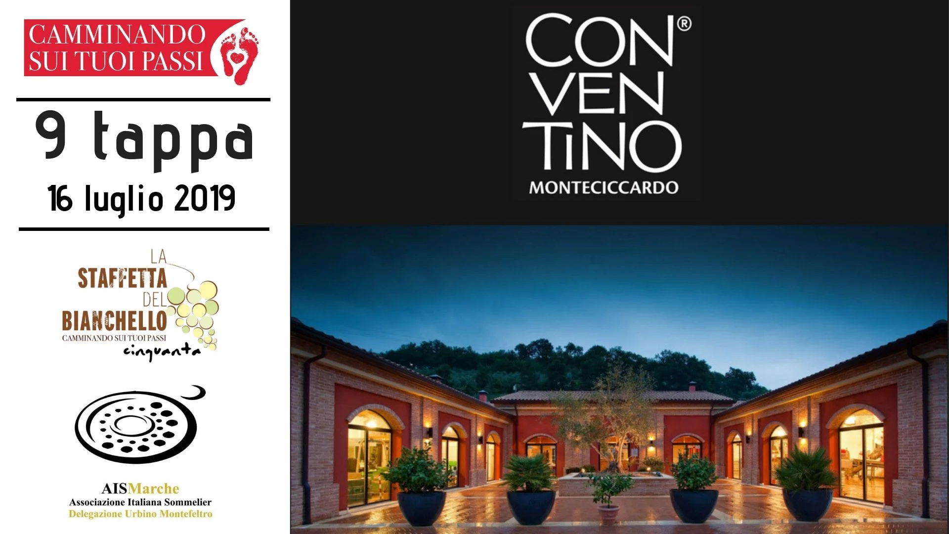9 tappa de la staffetta del bianchello all’ azienda il conventino di monteciccardo bianchello del metauto colli pesaresi marche igt olio evo